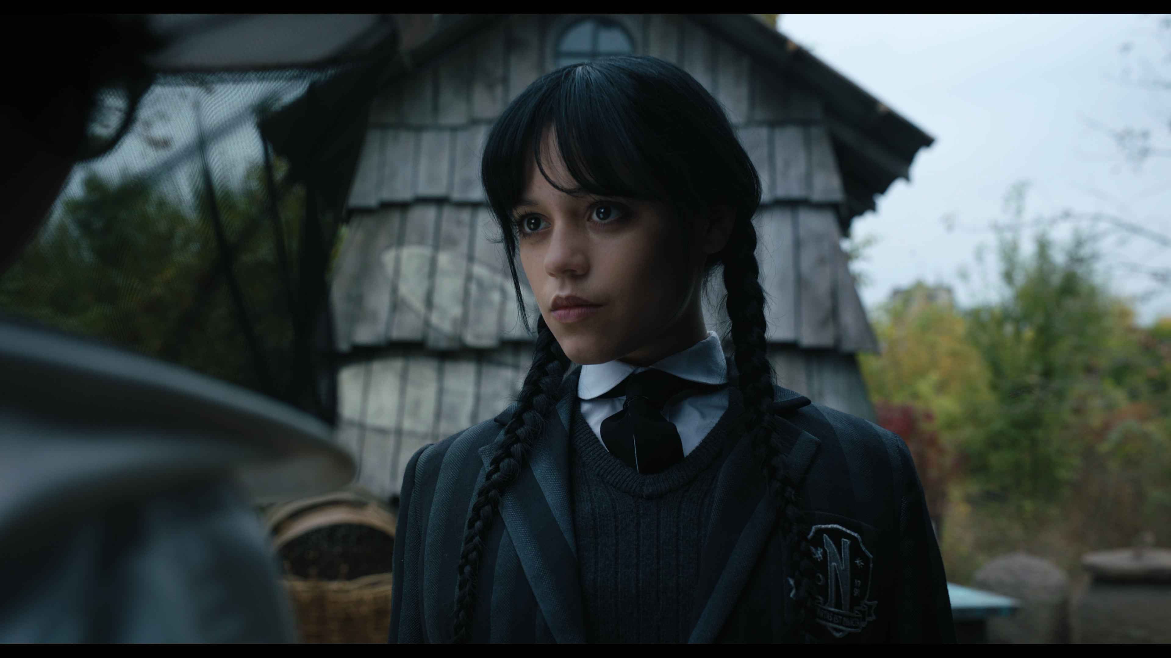 Wednesday S01E02 “Woe Is the Loneliest Number” screencap 1884