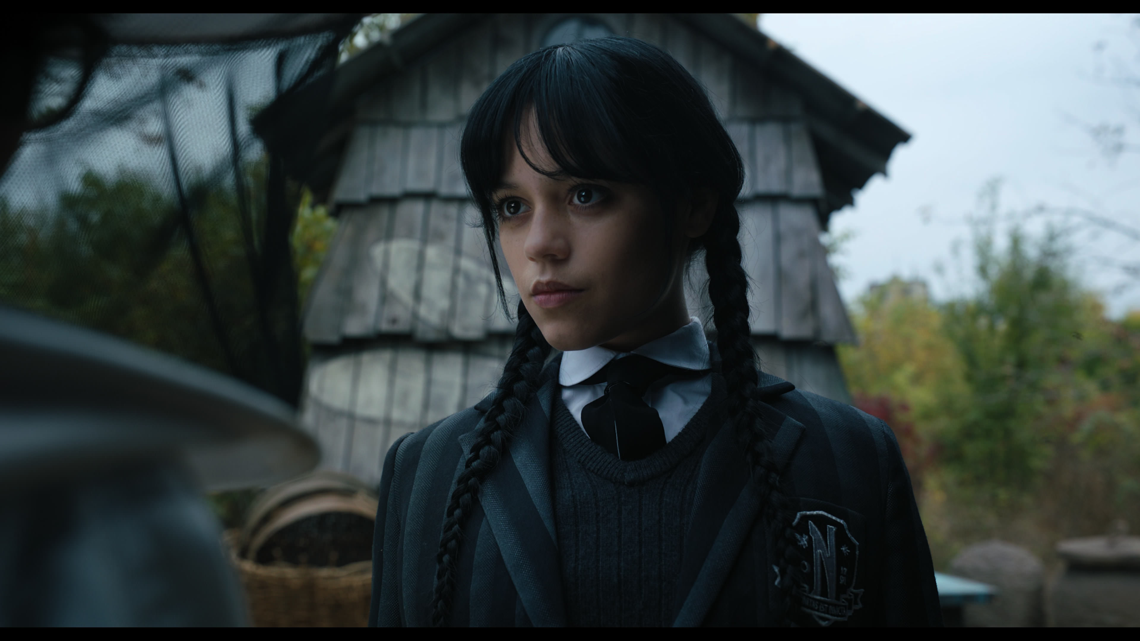 Wednesday S01E02 “Woe Is the Loneliest Number” movie still 1885