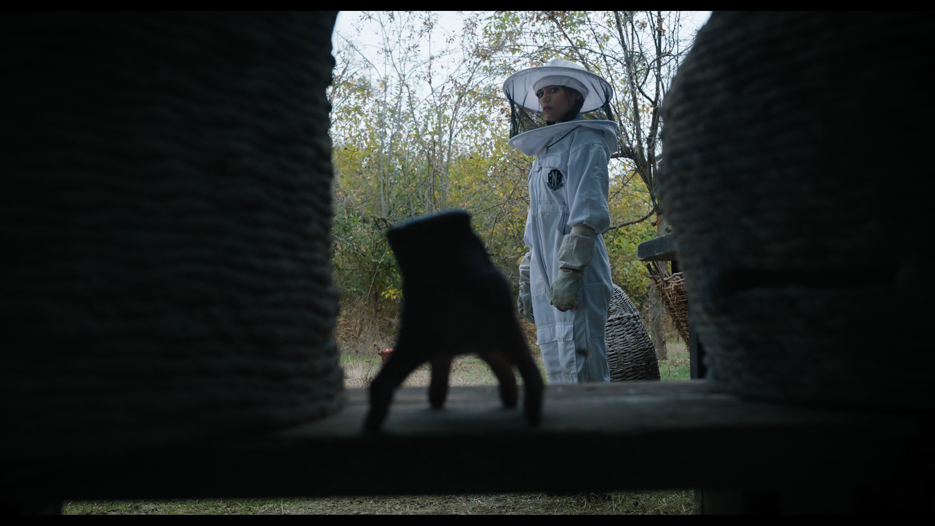 Wednesday S01E02 “Woe Is the Loneliest Number” screencap 1914