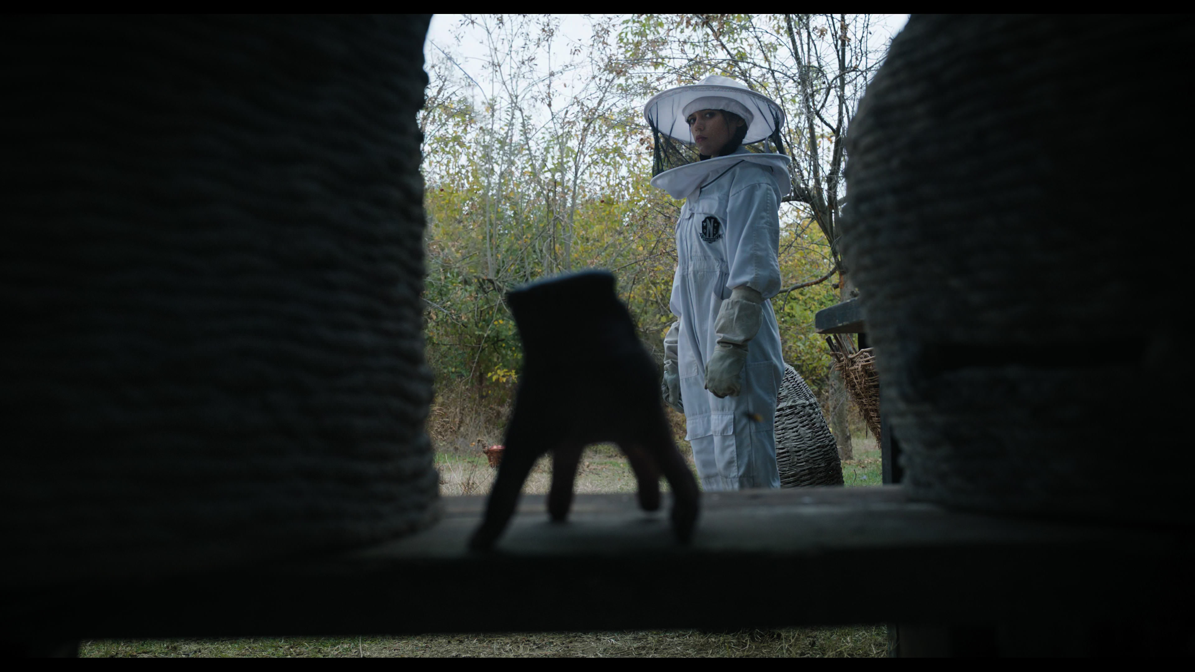 Wednesday S01E02 “Woe Is the Loneliest Number” movie still 1915