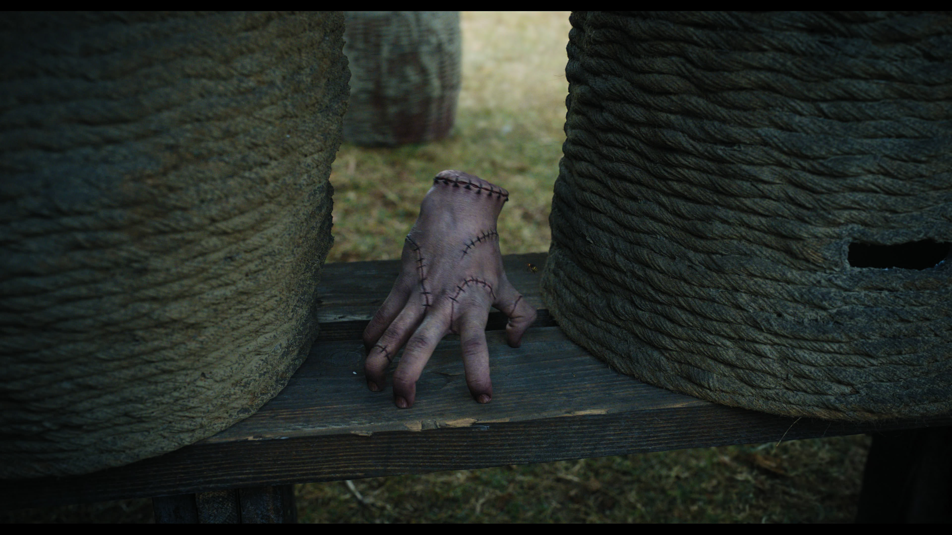 Wednesday S01E02 “Woe Is the Loneliest Number” screencap 1920
