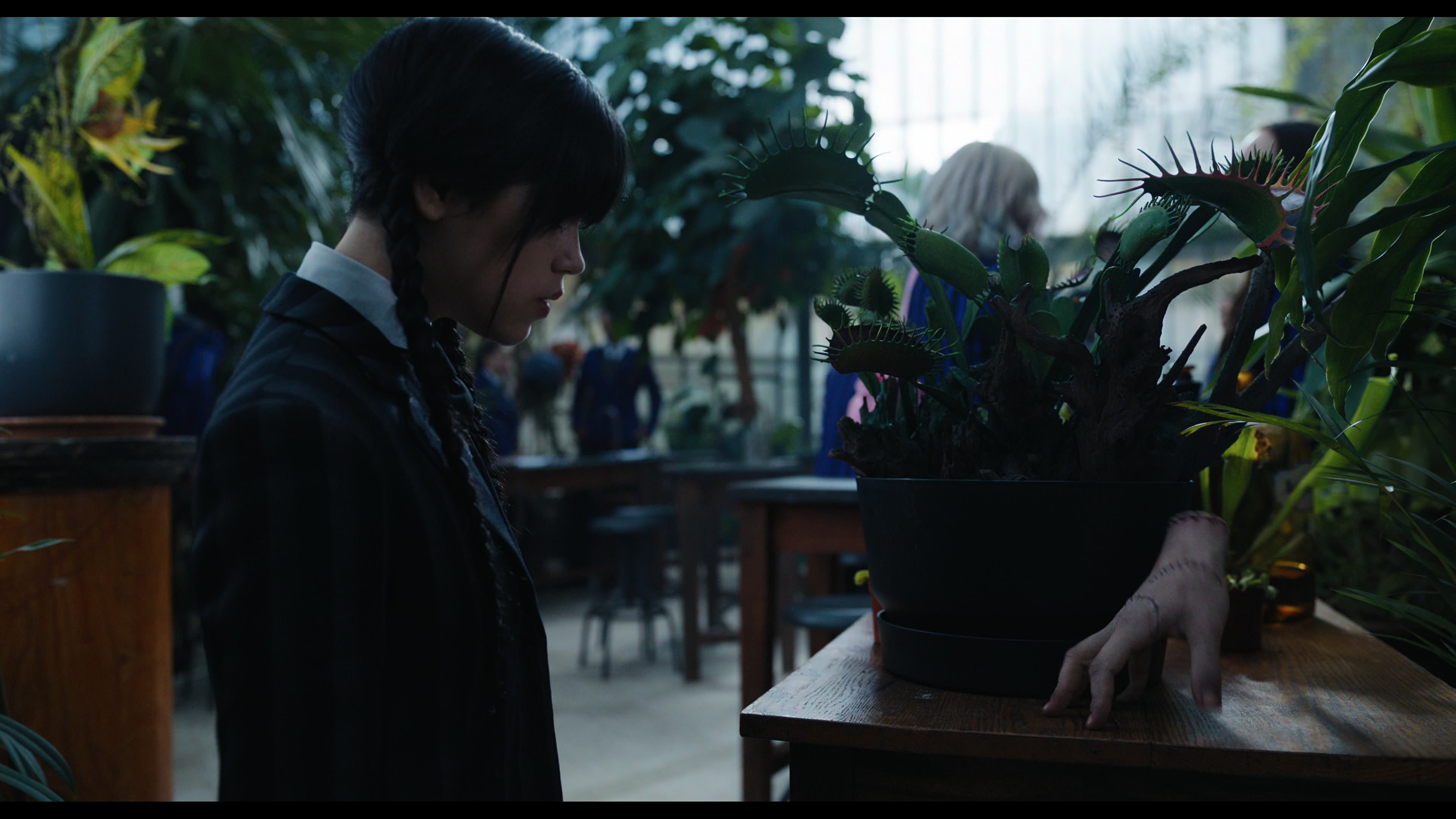 Wednesday S01E02 “Woe Is the Loneliest Number” HD screenshot 2318
