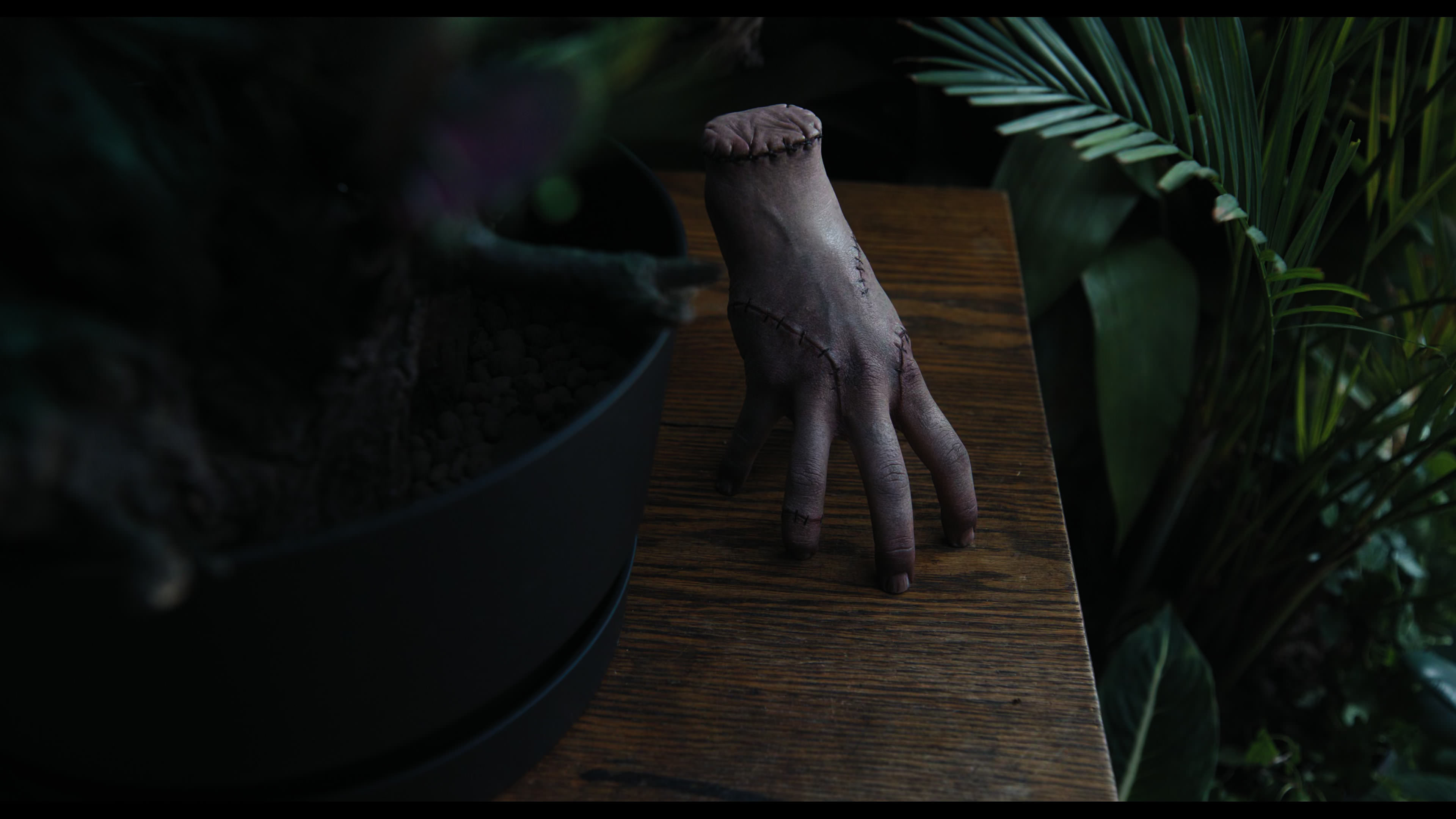 Wednesday S01E02 “Woe Is the Loneliest Number” movie still 2326