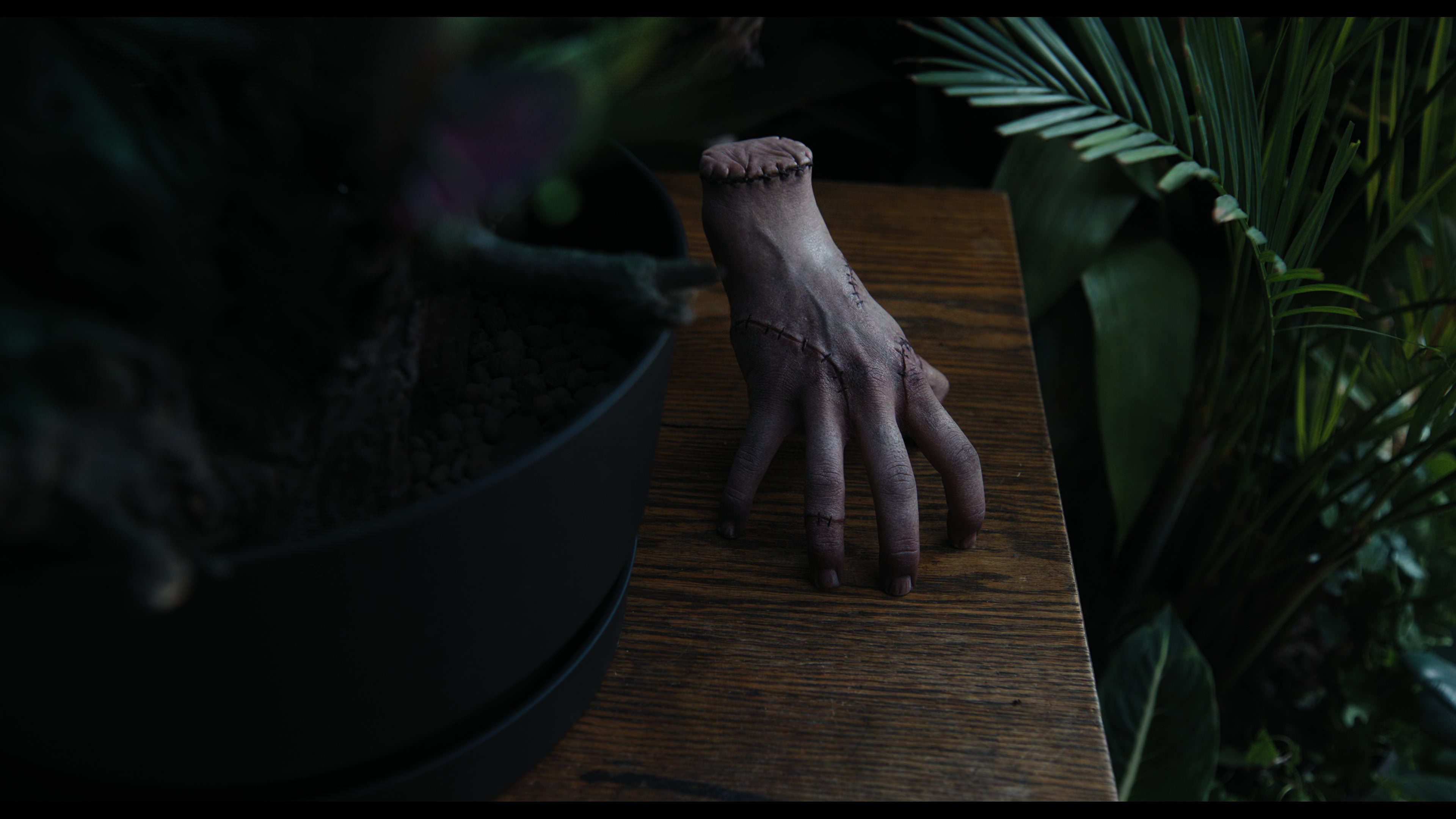 Wednesday S01E02 “Woe Is the Loneliest Number” screencap 2328