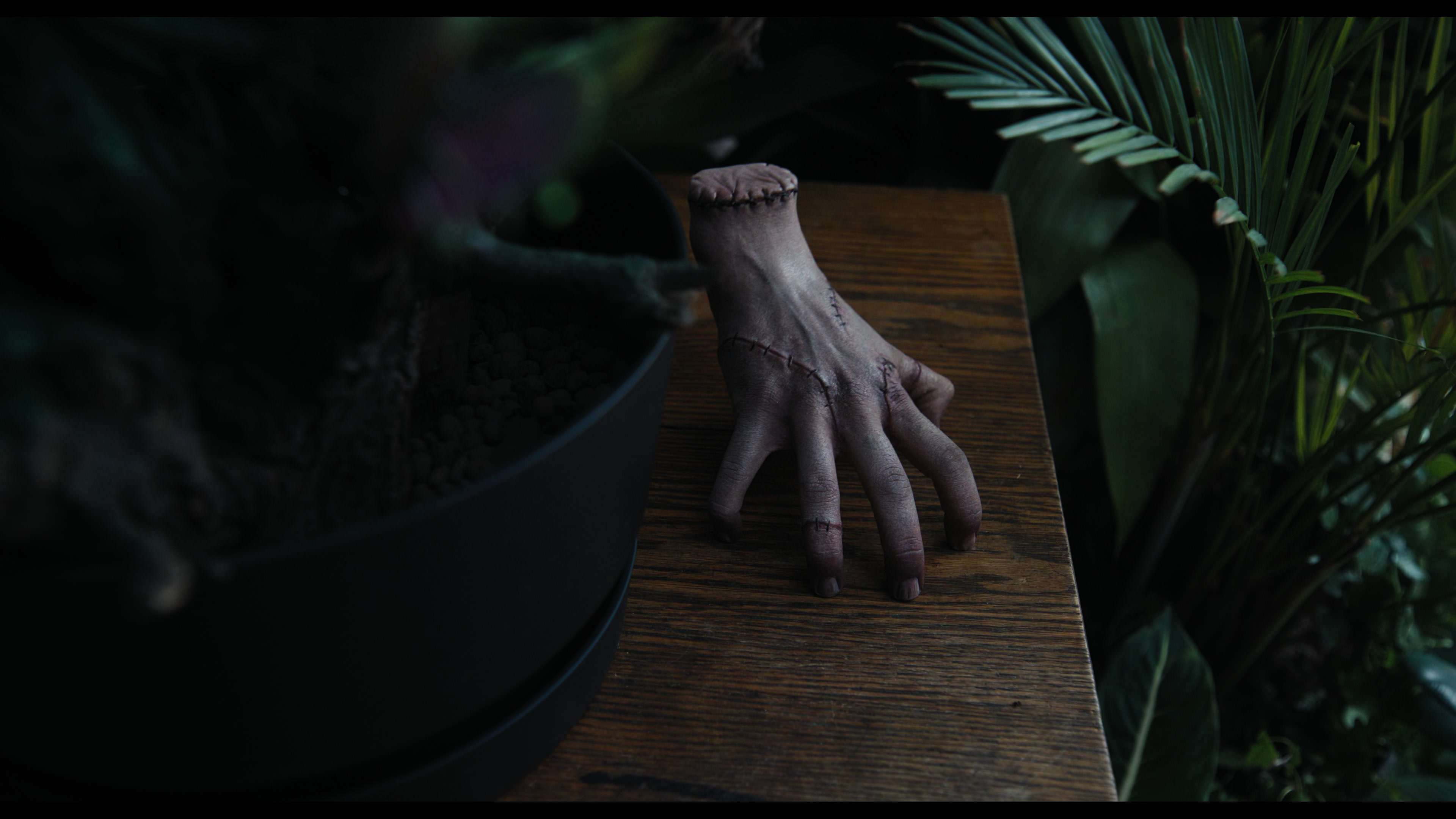 Wednesday S01E02 “Woe Is the Loneliest Number” movie still 2329