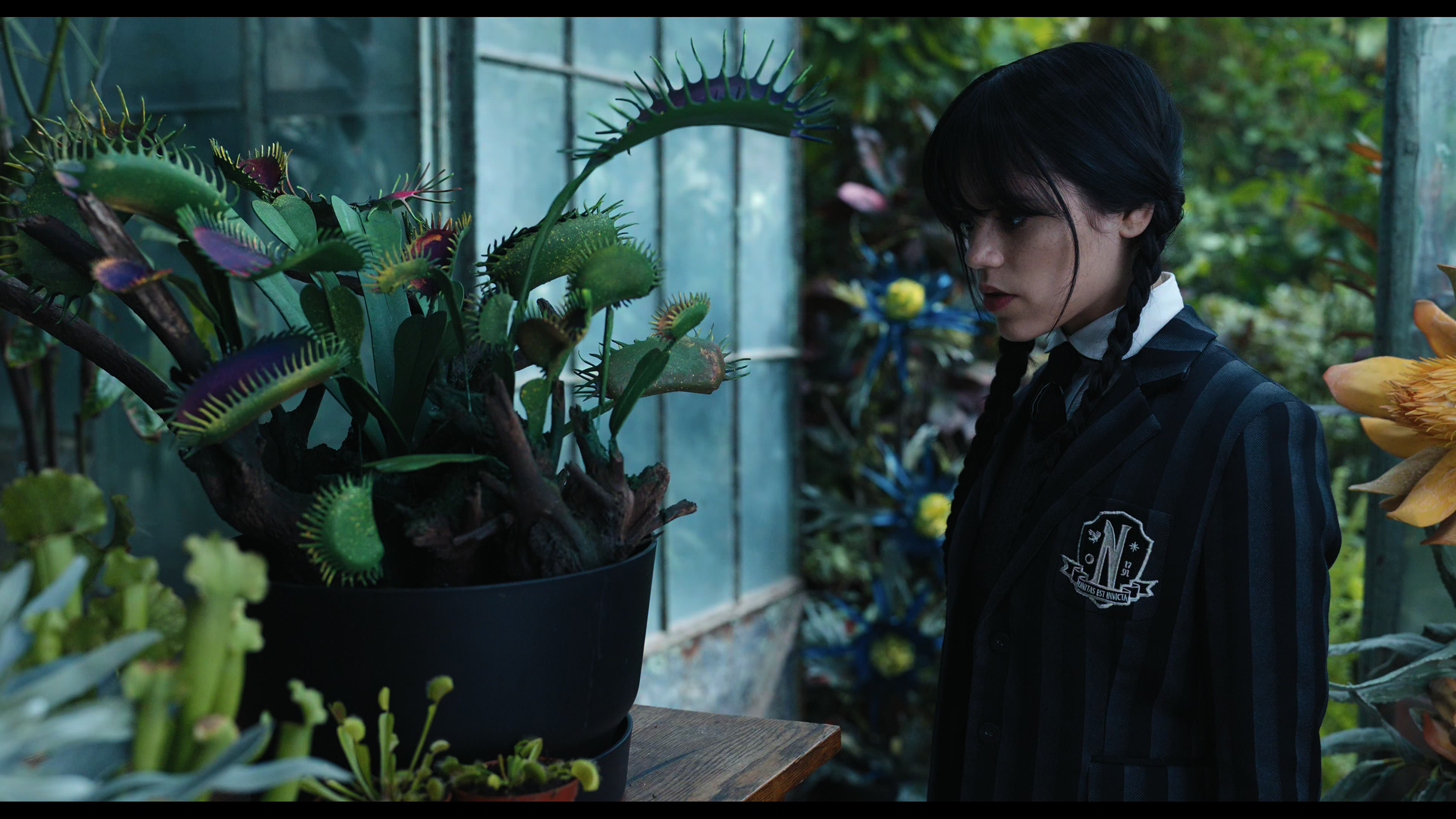 Wednesday S01E02 “Woe Is the Loneliest Number” movie still 2344