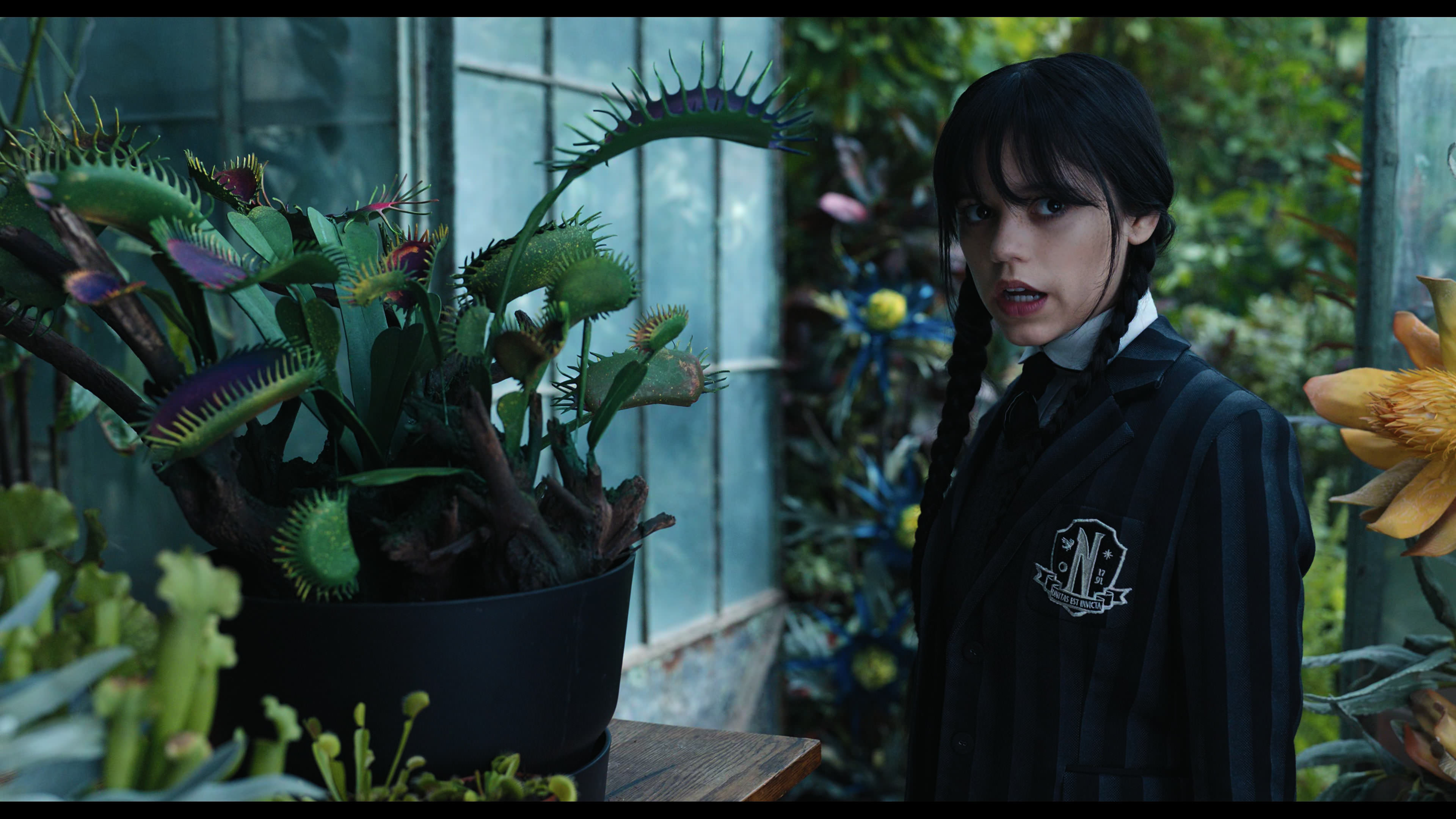Wednesday S01E02 “Woe Is the Loneliest Number” HD screenshot 2357