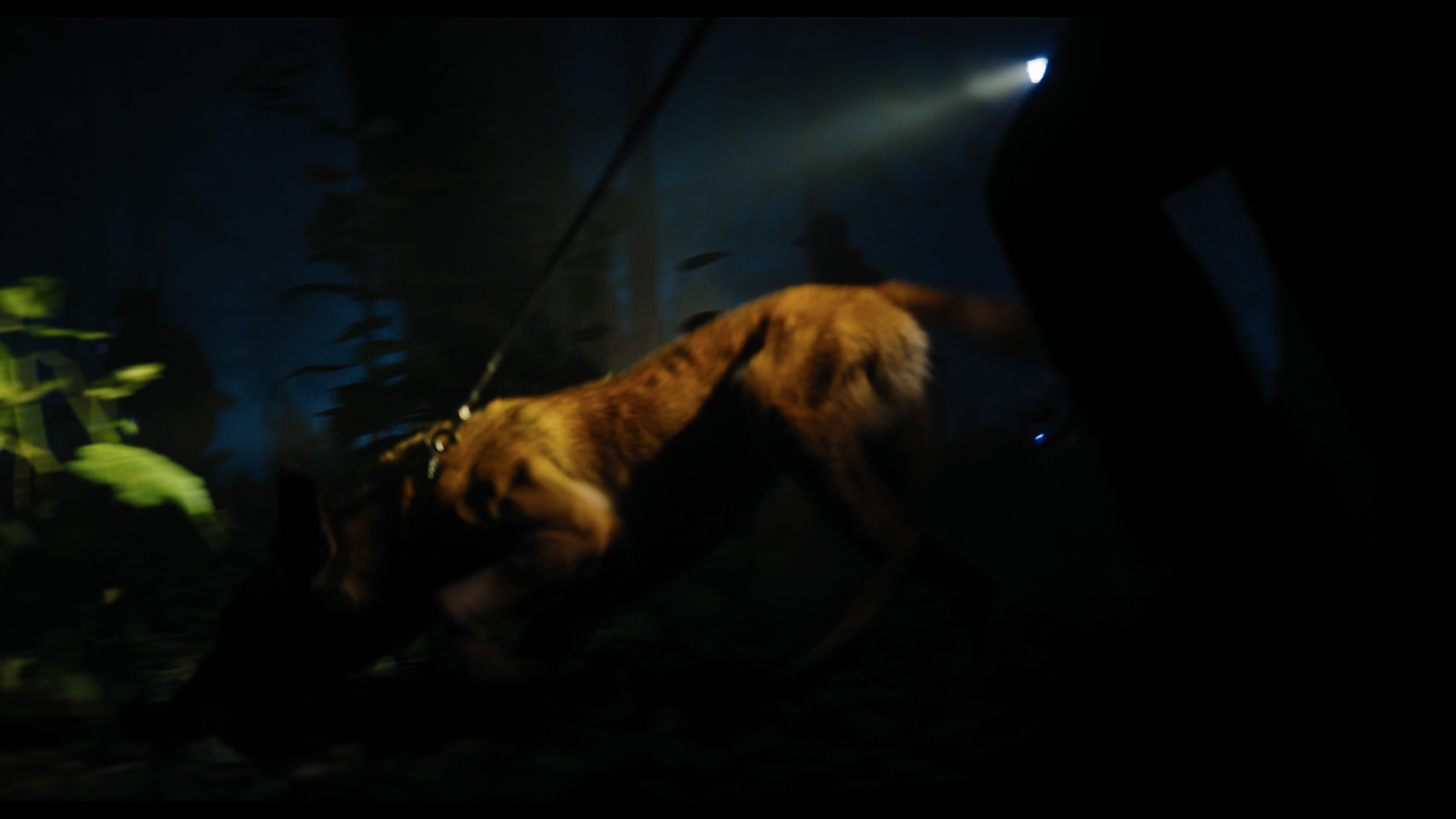 Wednesday S01E02 “Woe Is the Loneliest Number” HD screenshot 29