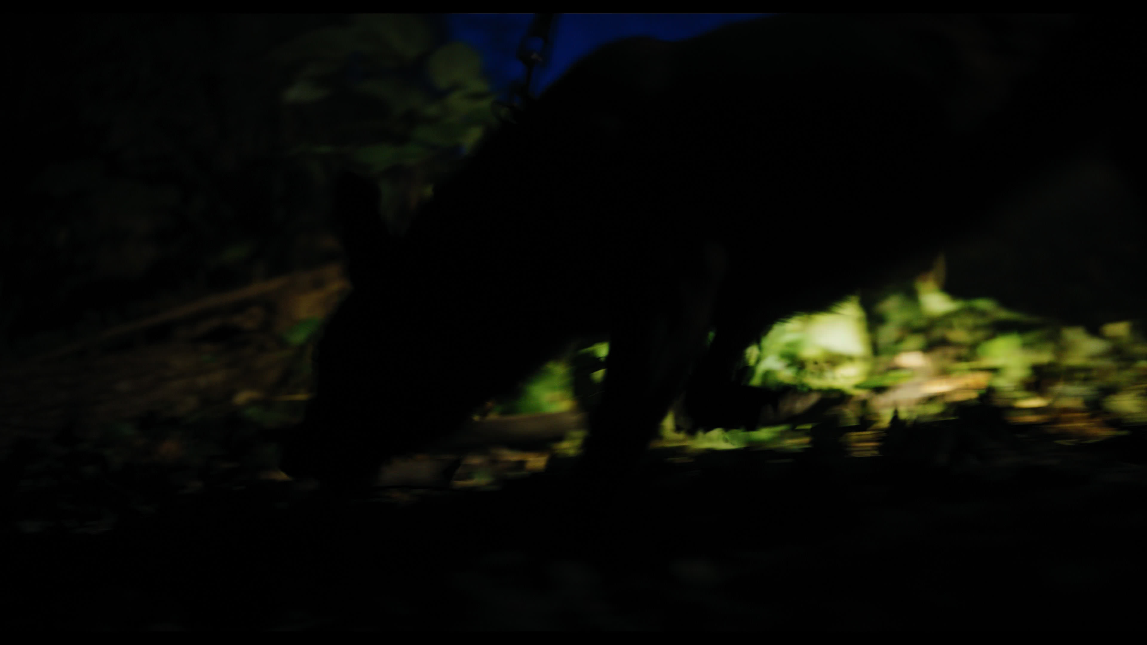 Wednesday S01E02 “Woe Is the Loneliest Number” screencap 33