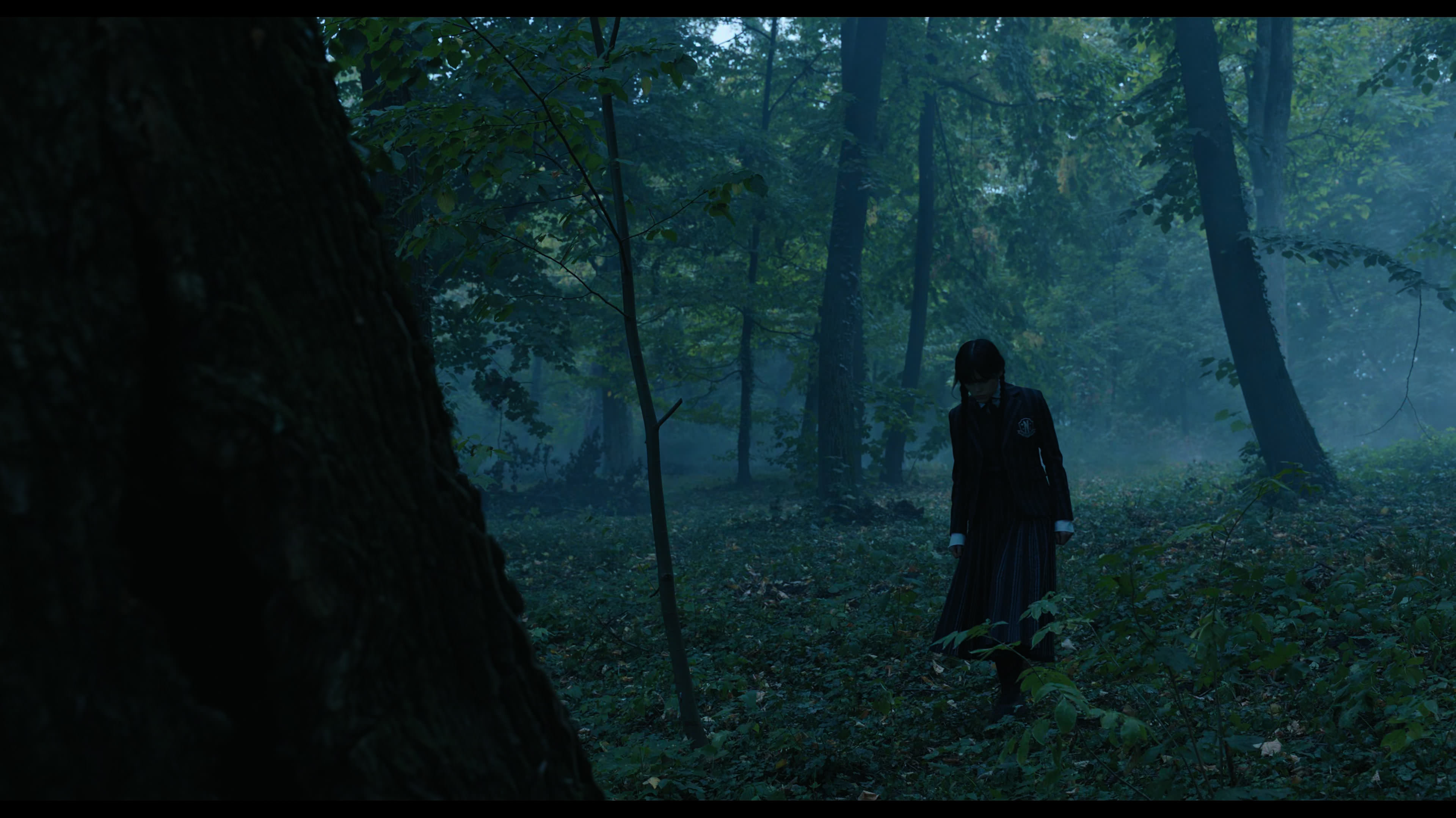 Wednesday S01E02 “Woe Is the Loneliest Number” HD screenshot 3380