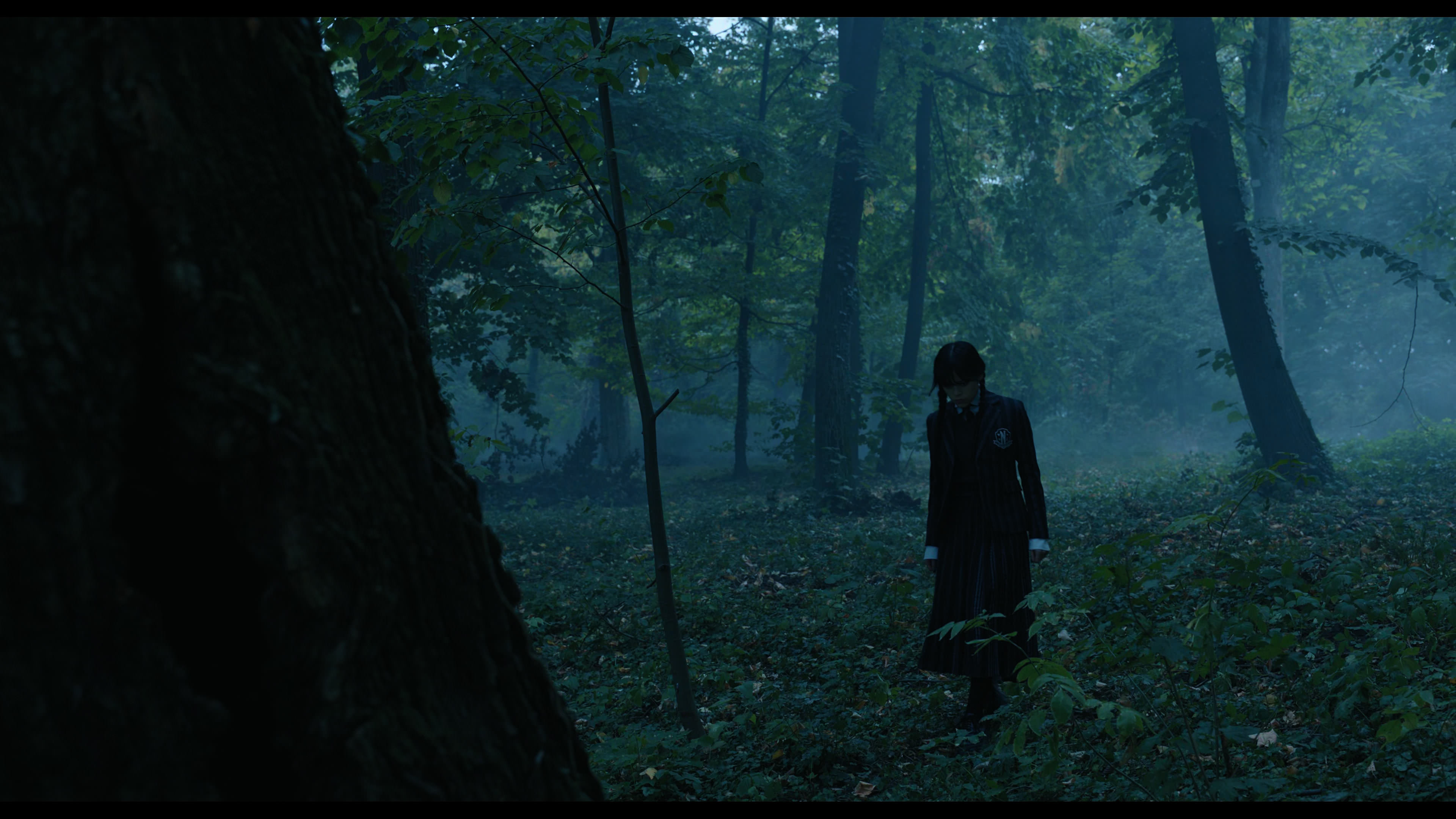 Wednesday S01E02 “Woe Is the Loneliest Number” screencap 3381