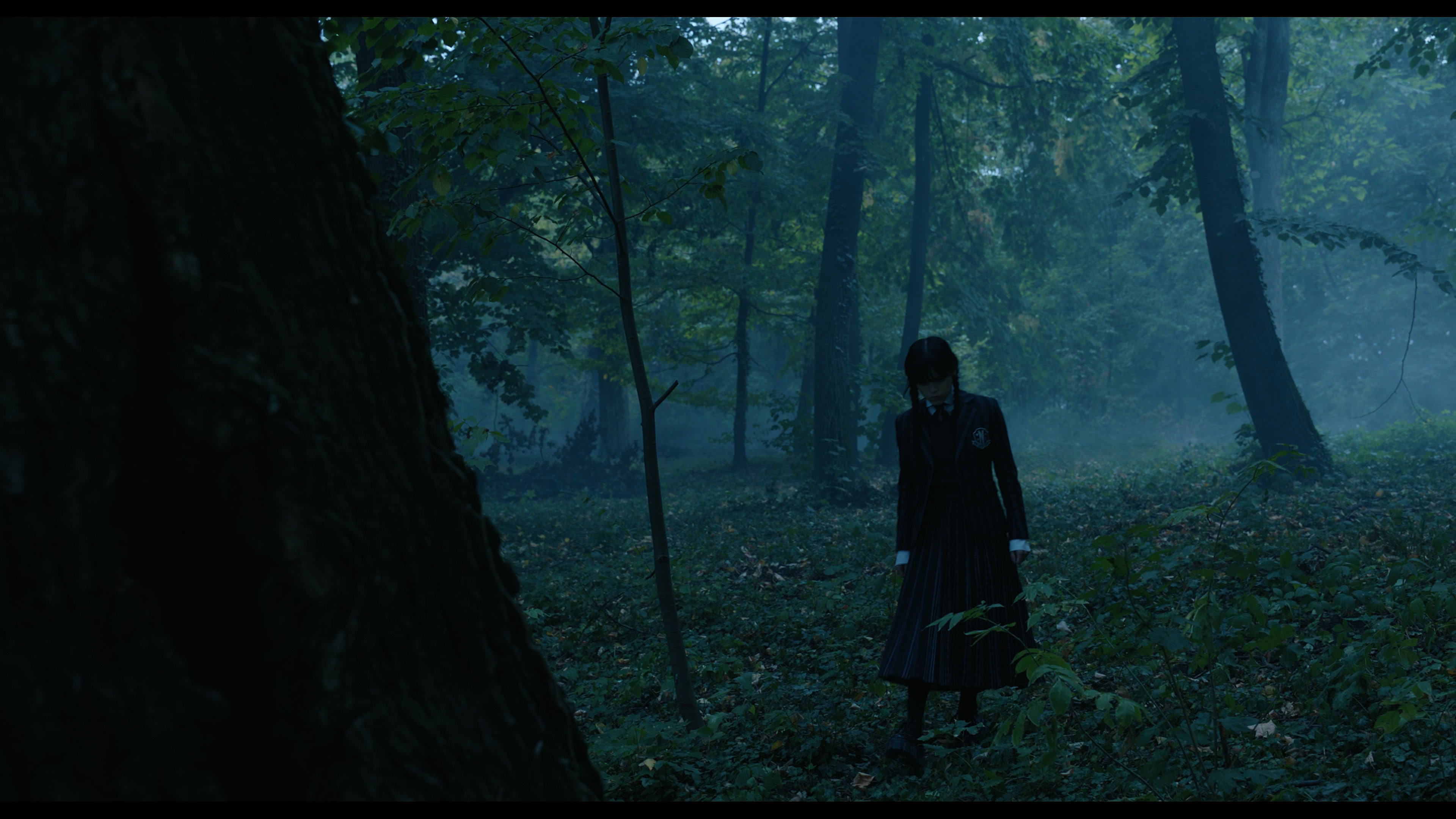 Wednesday S01E02 “Woe Is the Loneliest Number” movie still 3382