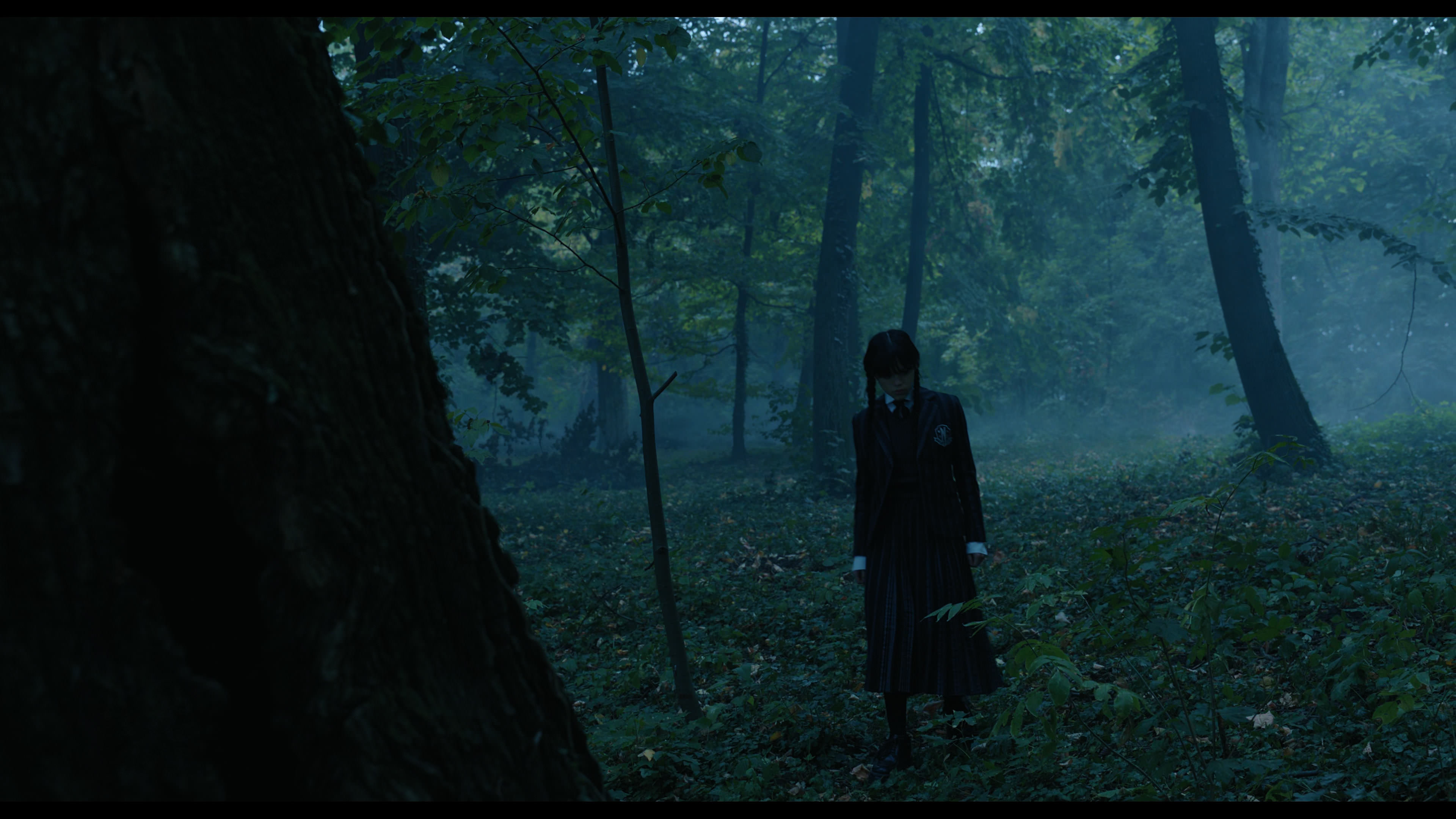 Wednesday S01E02 “Woe Is the Loneliest Number” HD screenshot 3383