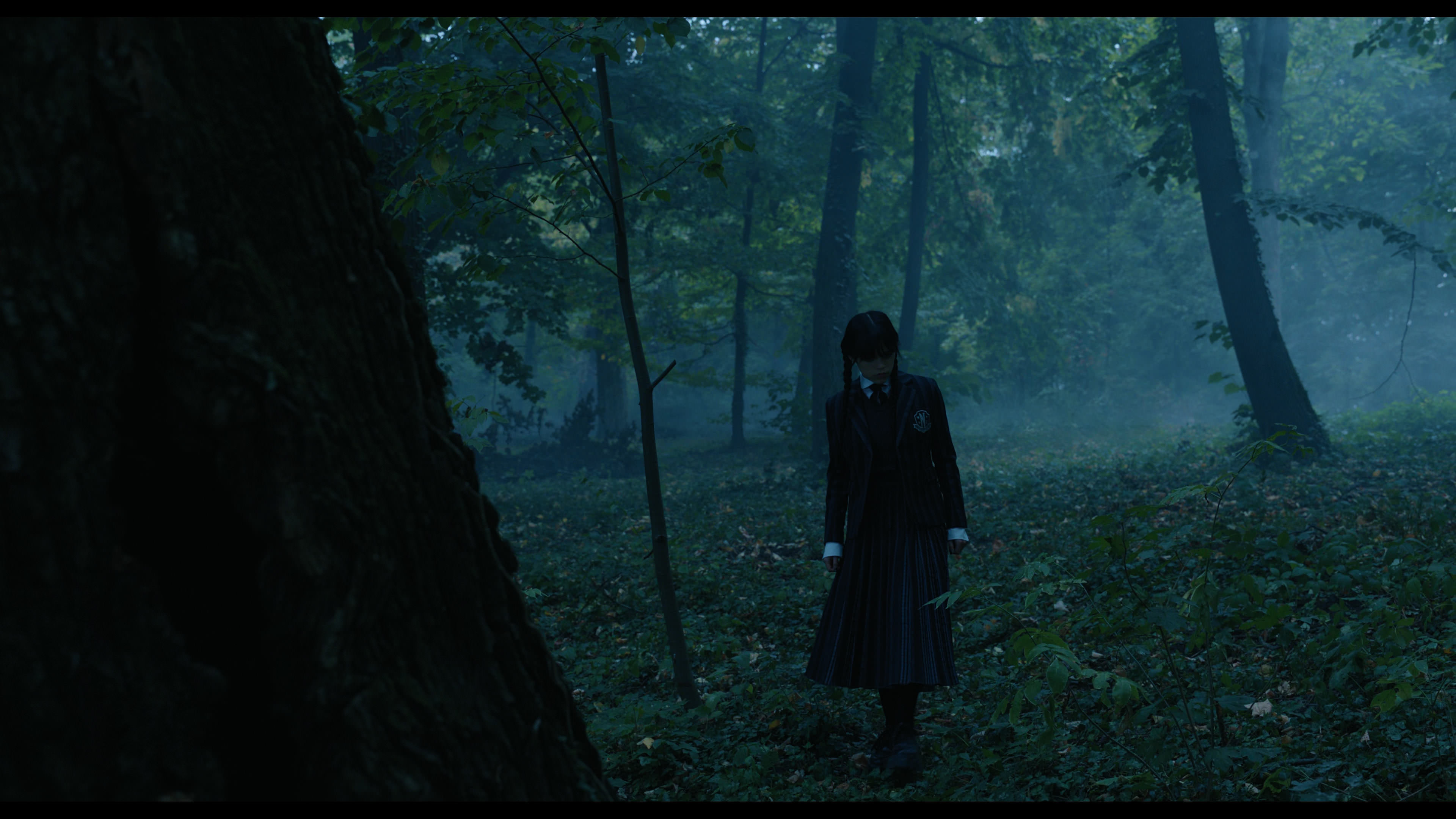 Wednesday S01E02 “Woe Is the Loneliest Number” screencap 3384