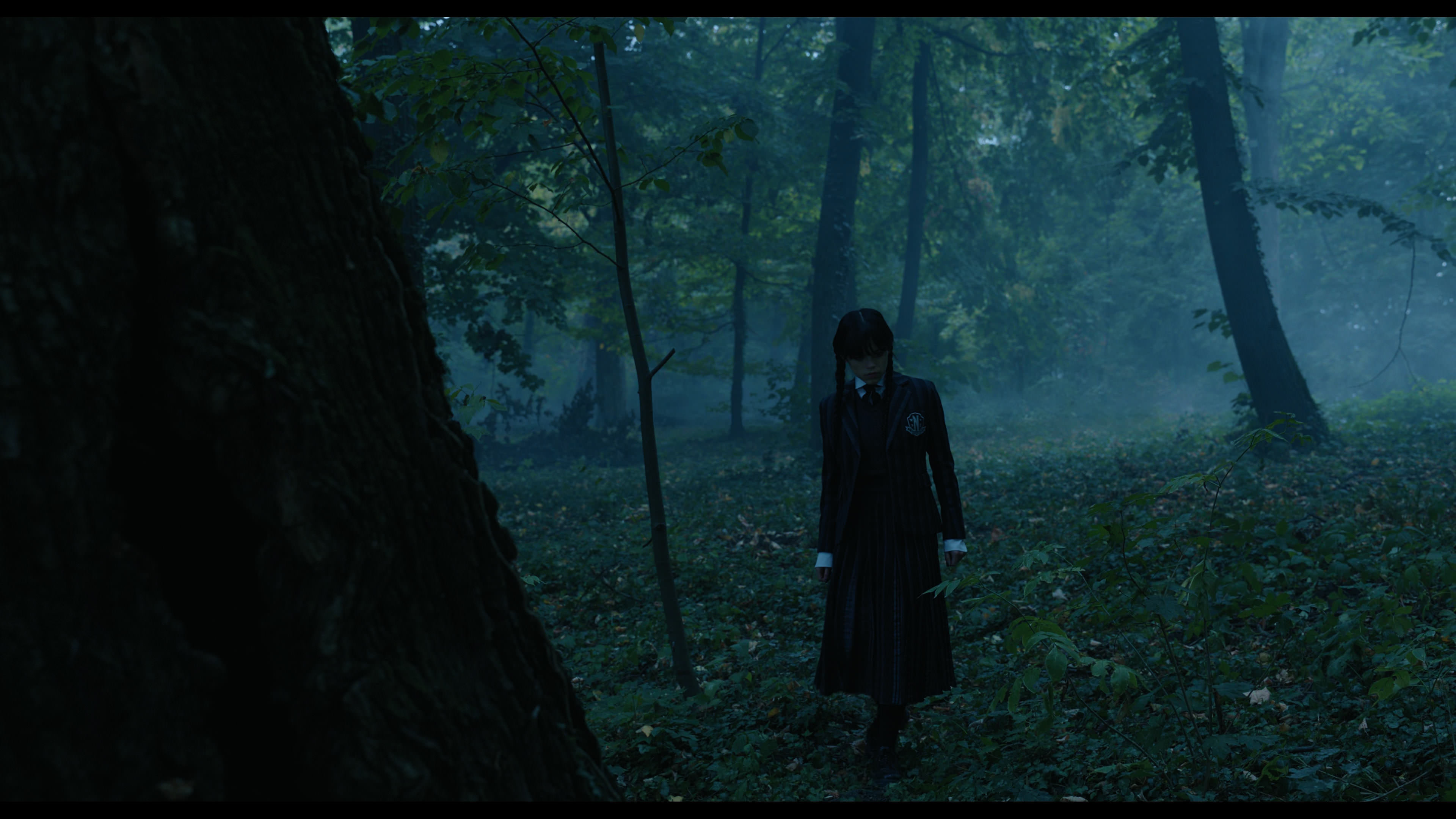 Wednesday S01E02 “Woe Is the Loneliest Number” movie still 3385