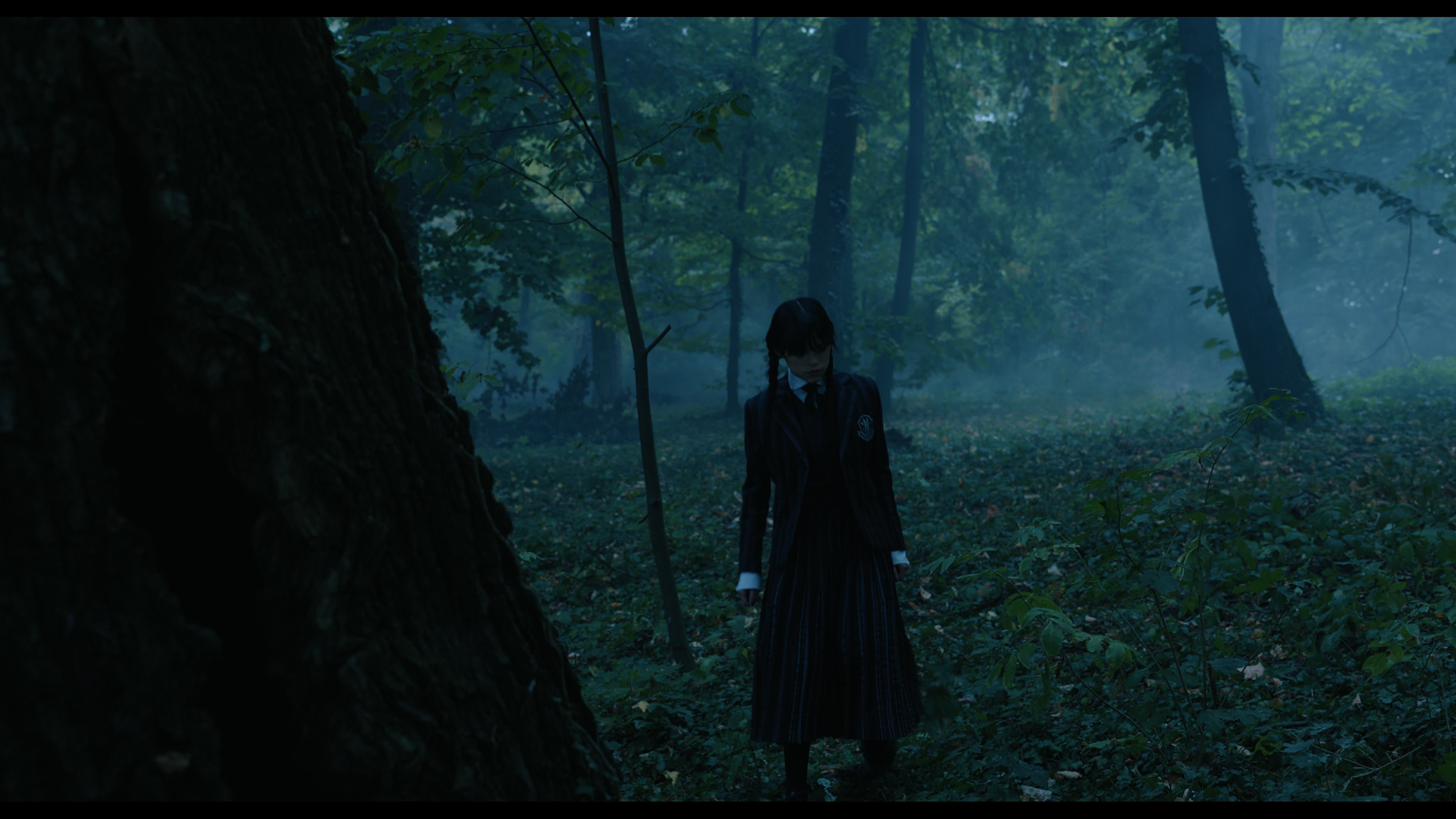 Wednesday S01E02 “Woe Is the Loneliest Number” screencap 3387