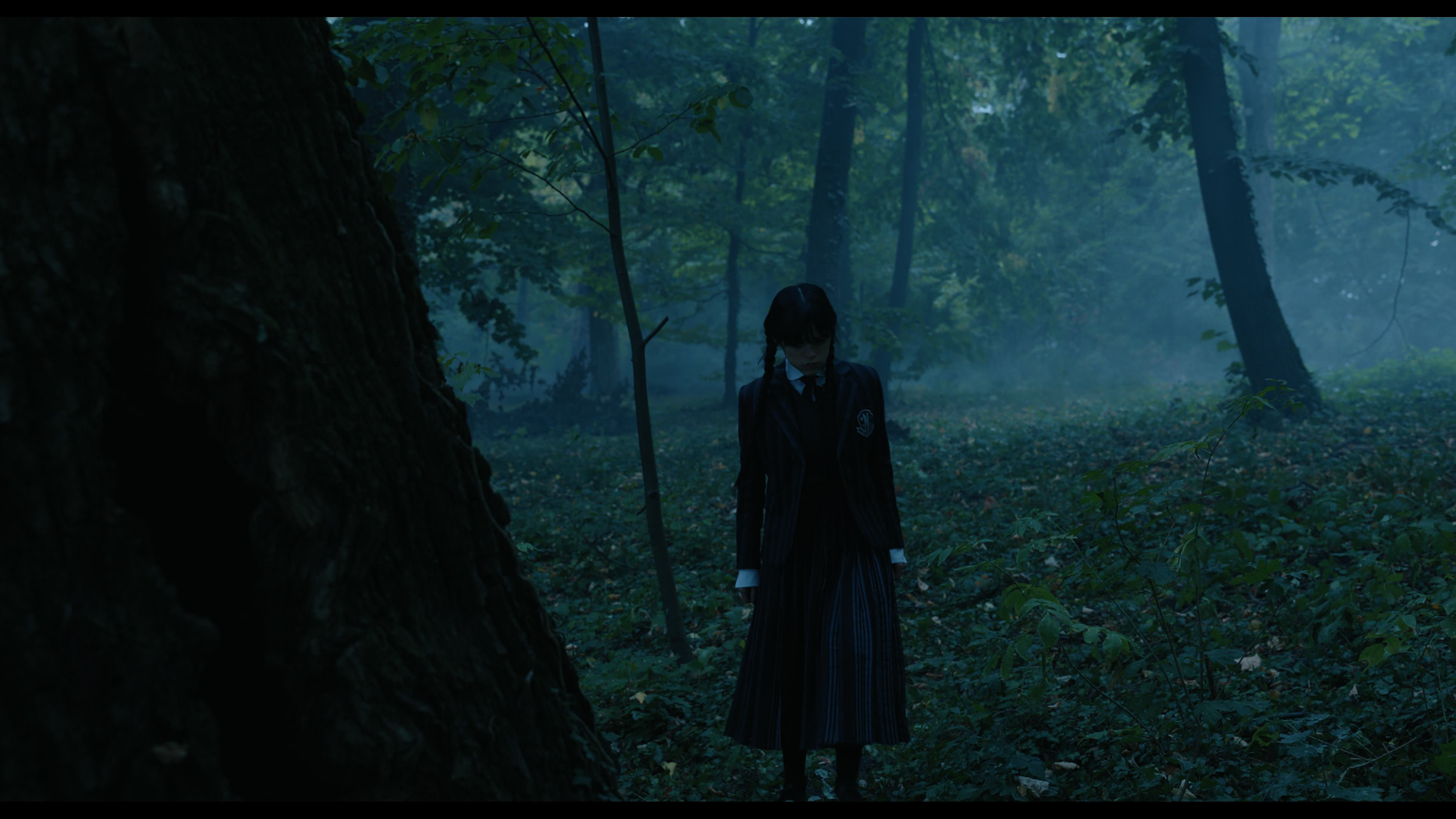 Wednesday S01E02 “Woe Is the Loneliest Number” movie still 3388