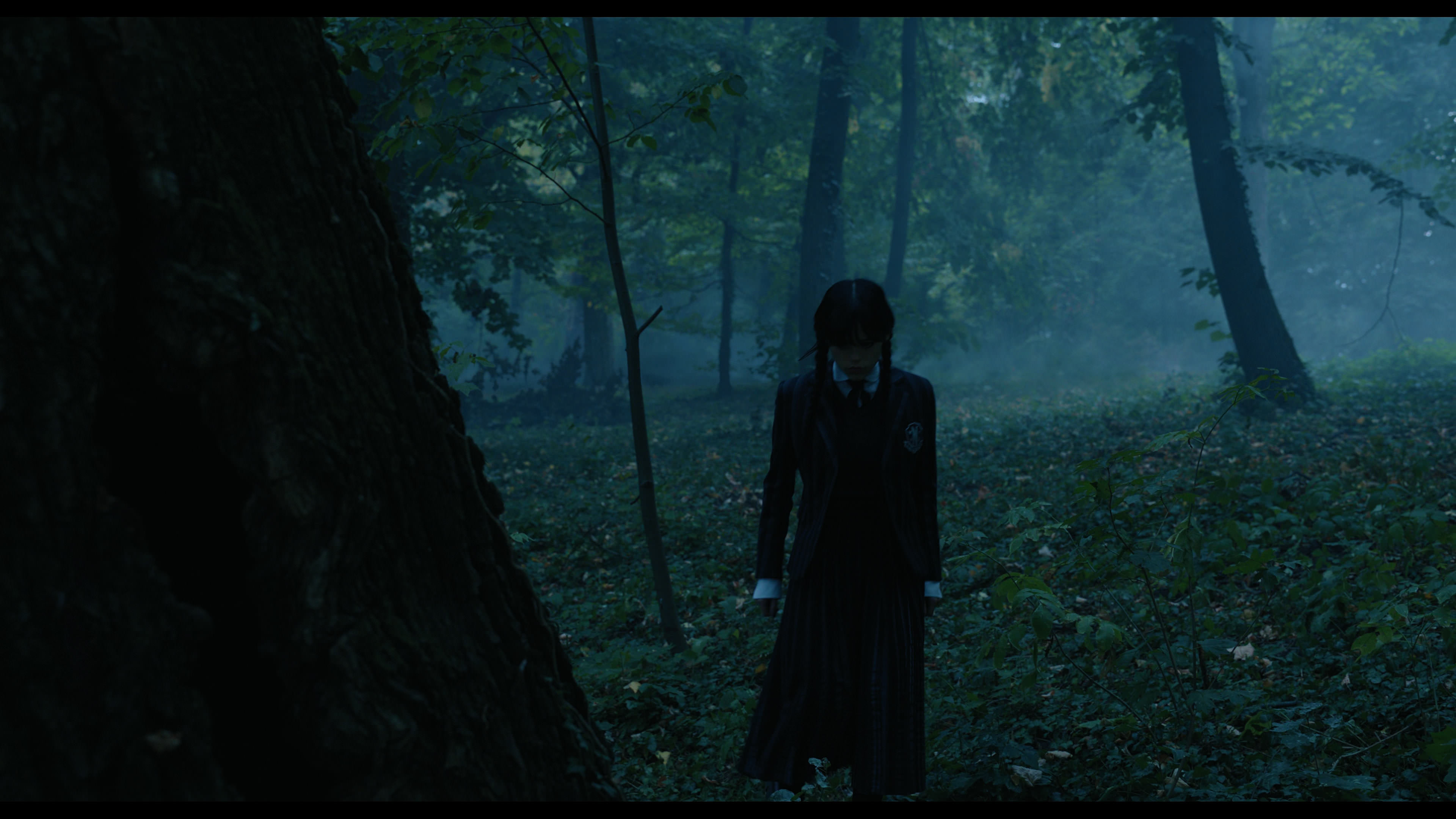 Wednesday S01E02 “Woe Is the Loneliest Number” HD screenshot 3389