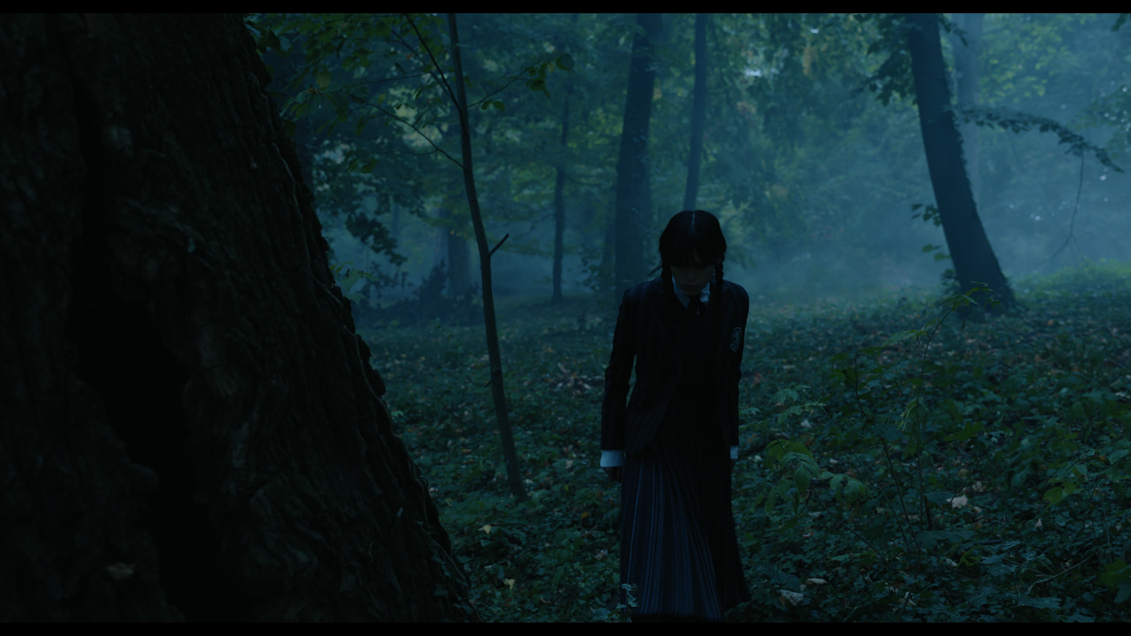 Wednesday S01E02 “Woe Is the Loneliest Number” screencap 3390