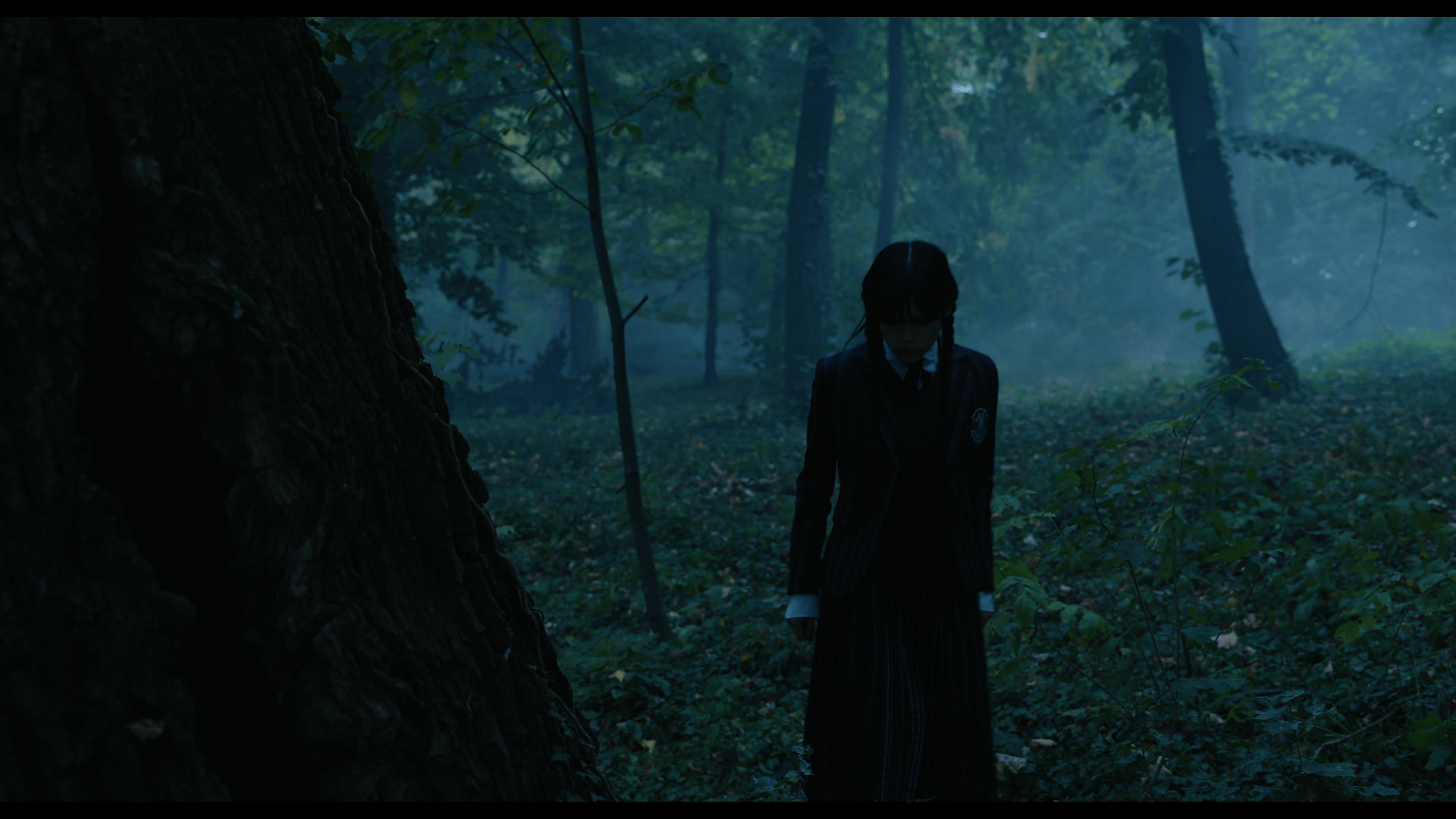 Wednesday S01E02 “Woe Is the Loneliest Number” movie still 3391