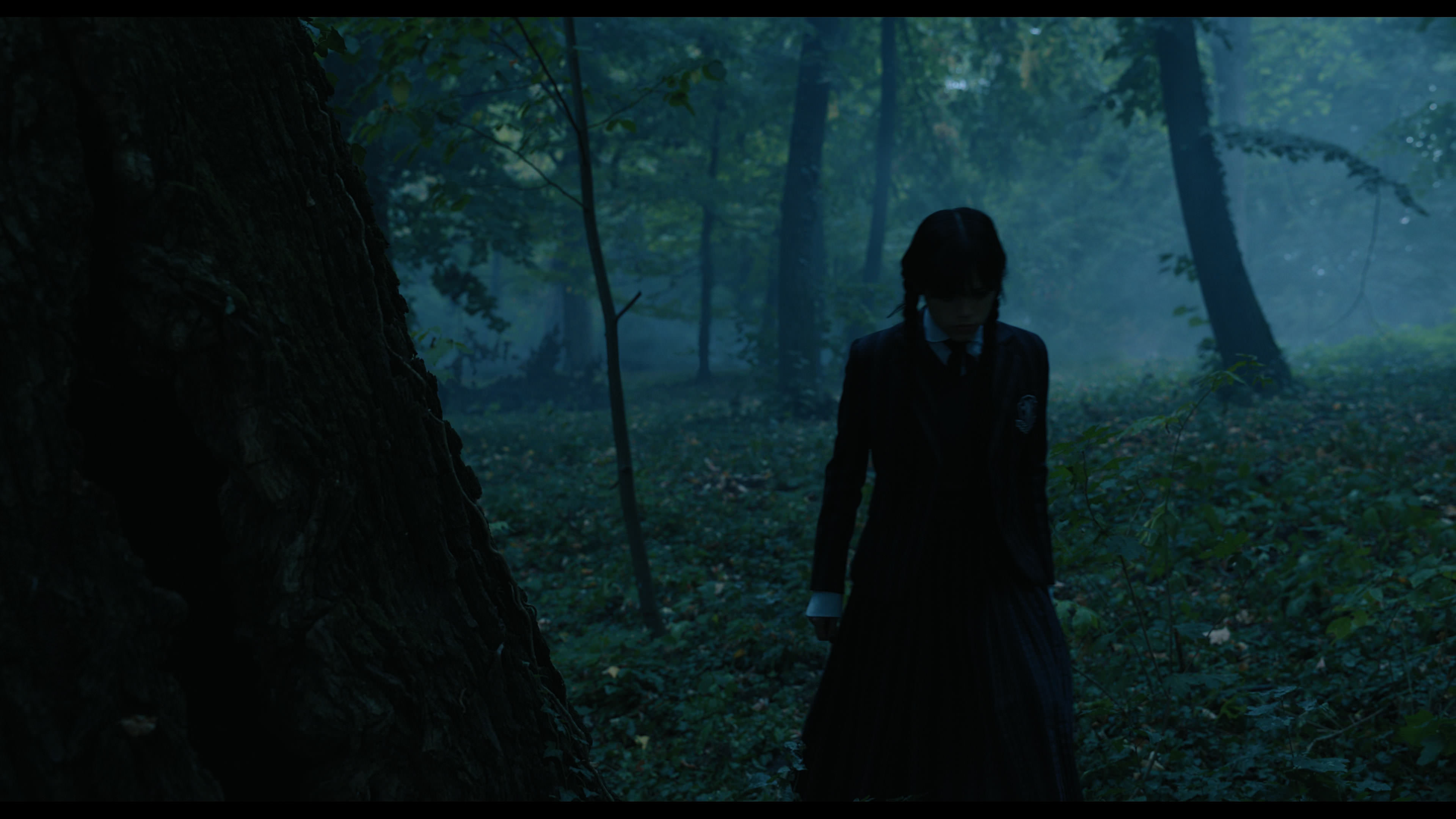 Wednesday S01E02 “Woe Is the Loneliest Number” HD screenshot 3392
