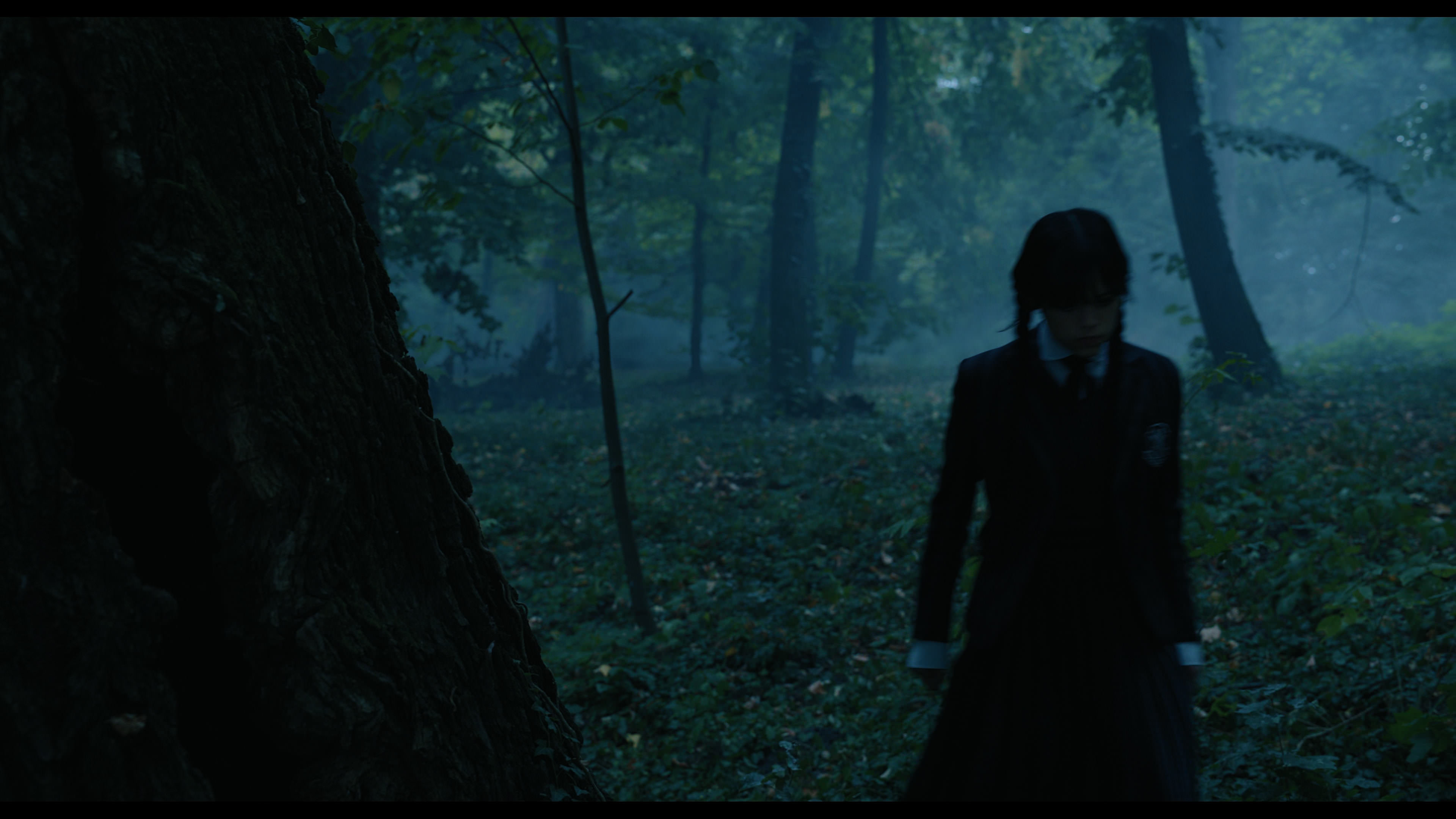 Wednesday S01E02 “Woe Is the Loneliest Number” screencap 3393