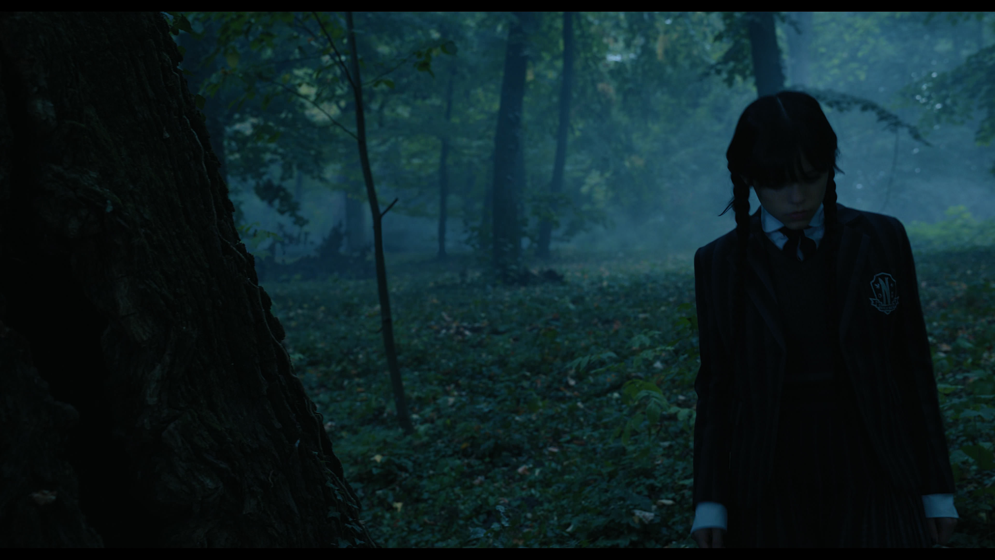 Wednesday S01E02 “Woe Is the Loneliest Number” HD screenshot 3395