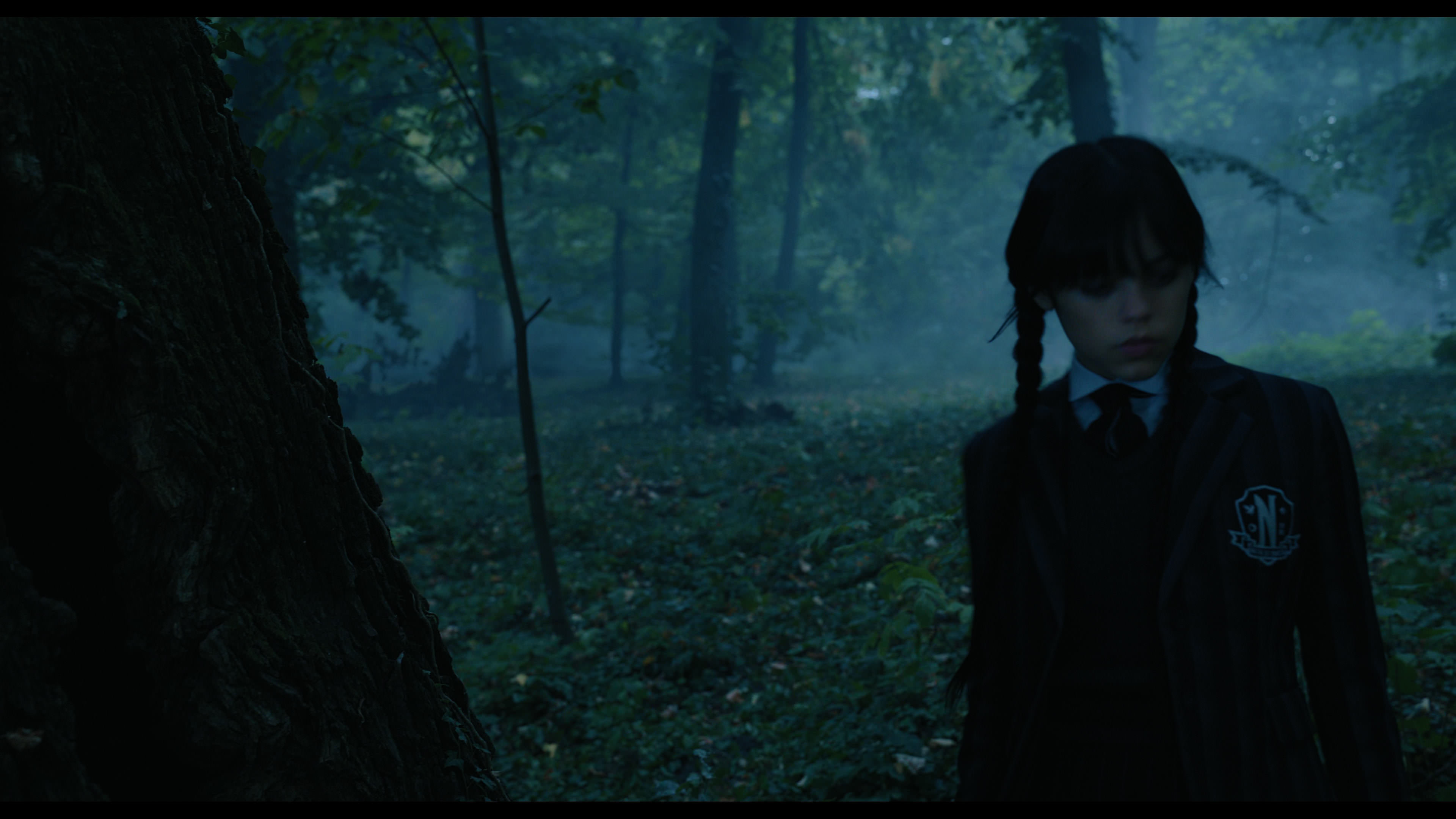 Wednesday S01E02 “Woe Is the Loneliest Number” screencap 3396