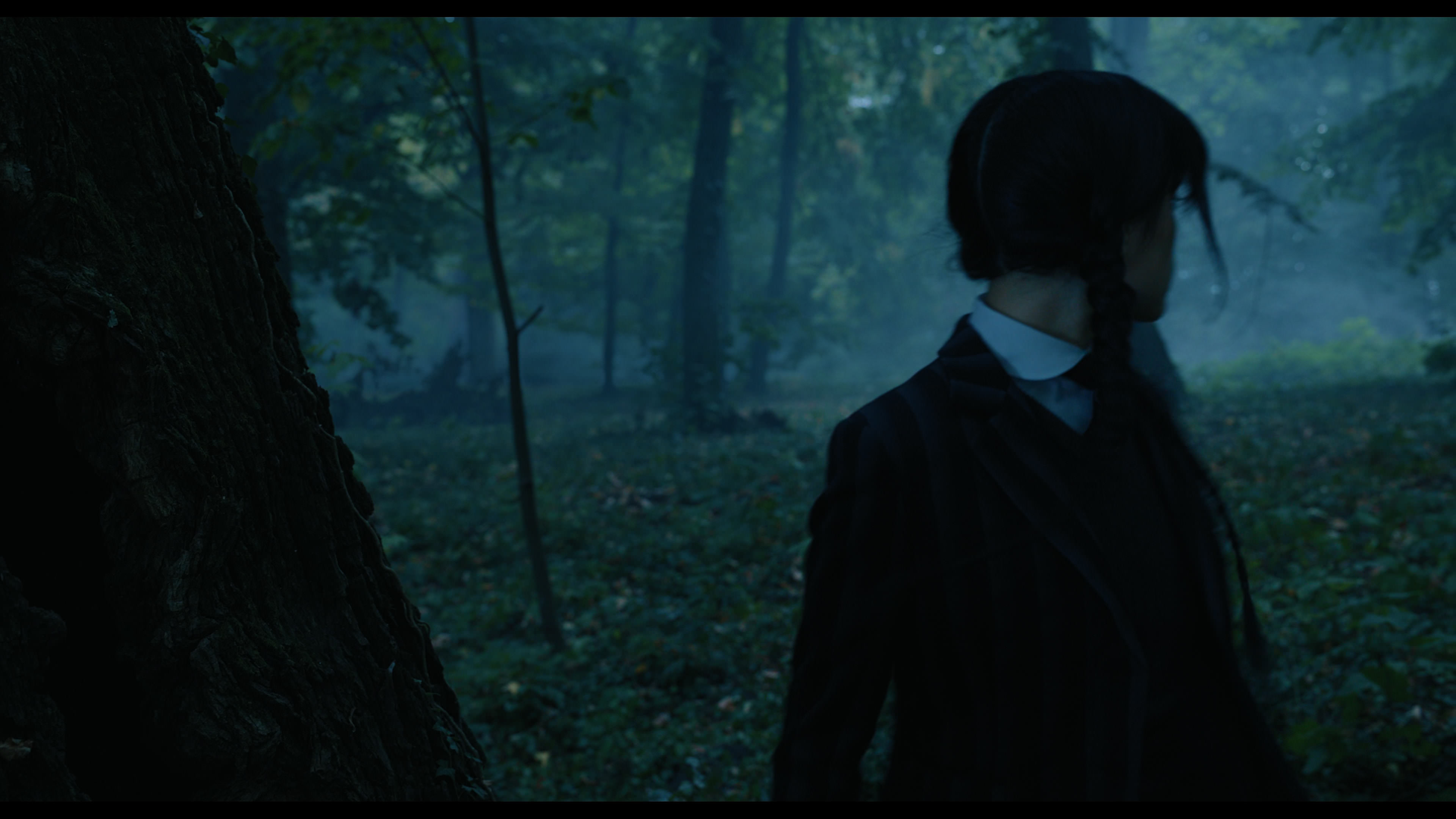 Wednesday S01E02 “Woe Is the Loneliest Number” movie still 3397