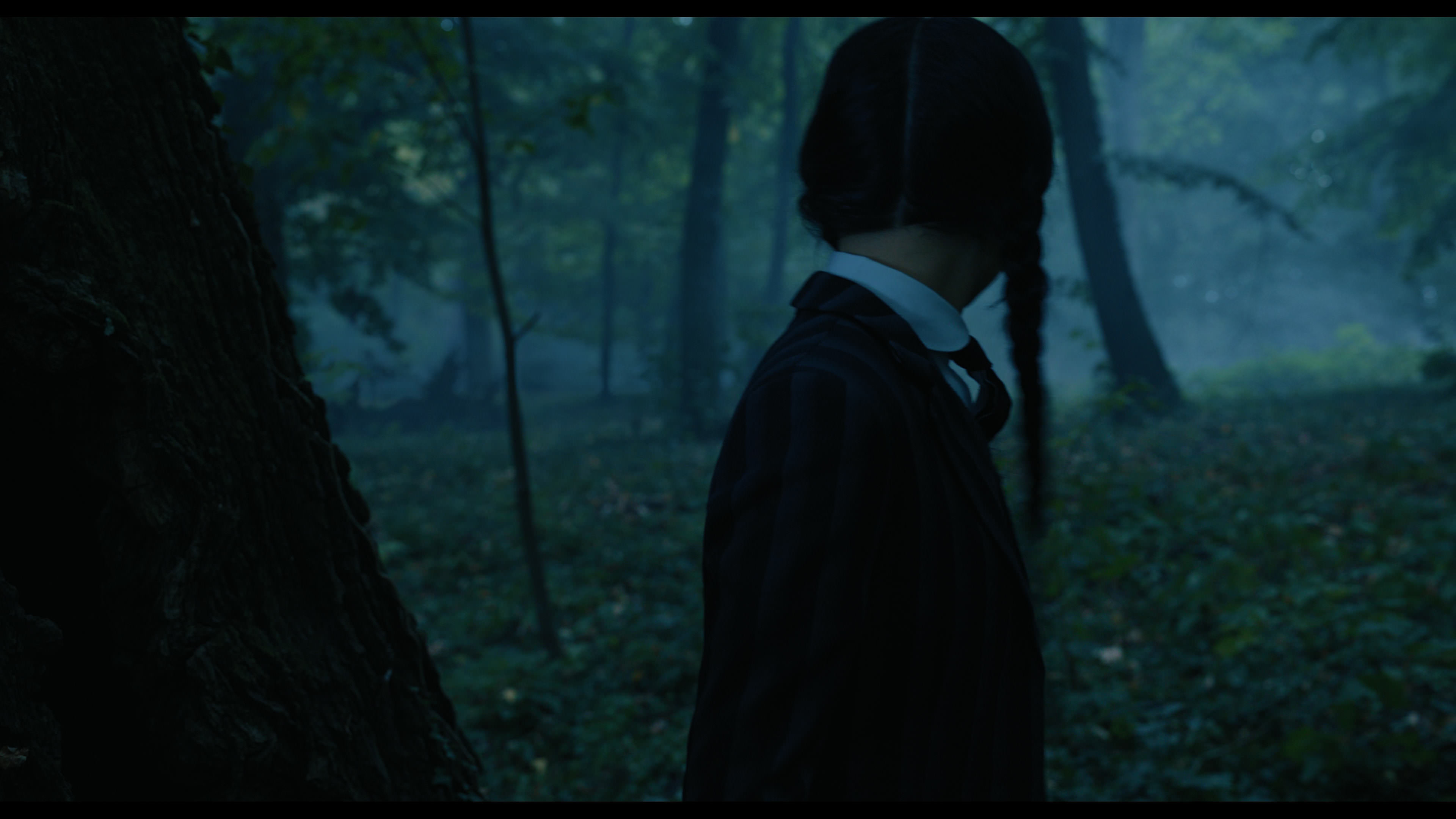 Wednesday S01E02 “Woe Is the Loneliest Number” HD screenshot 3398
