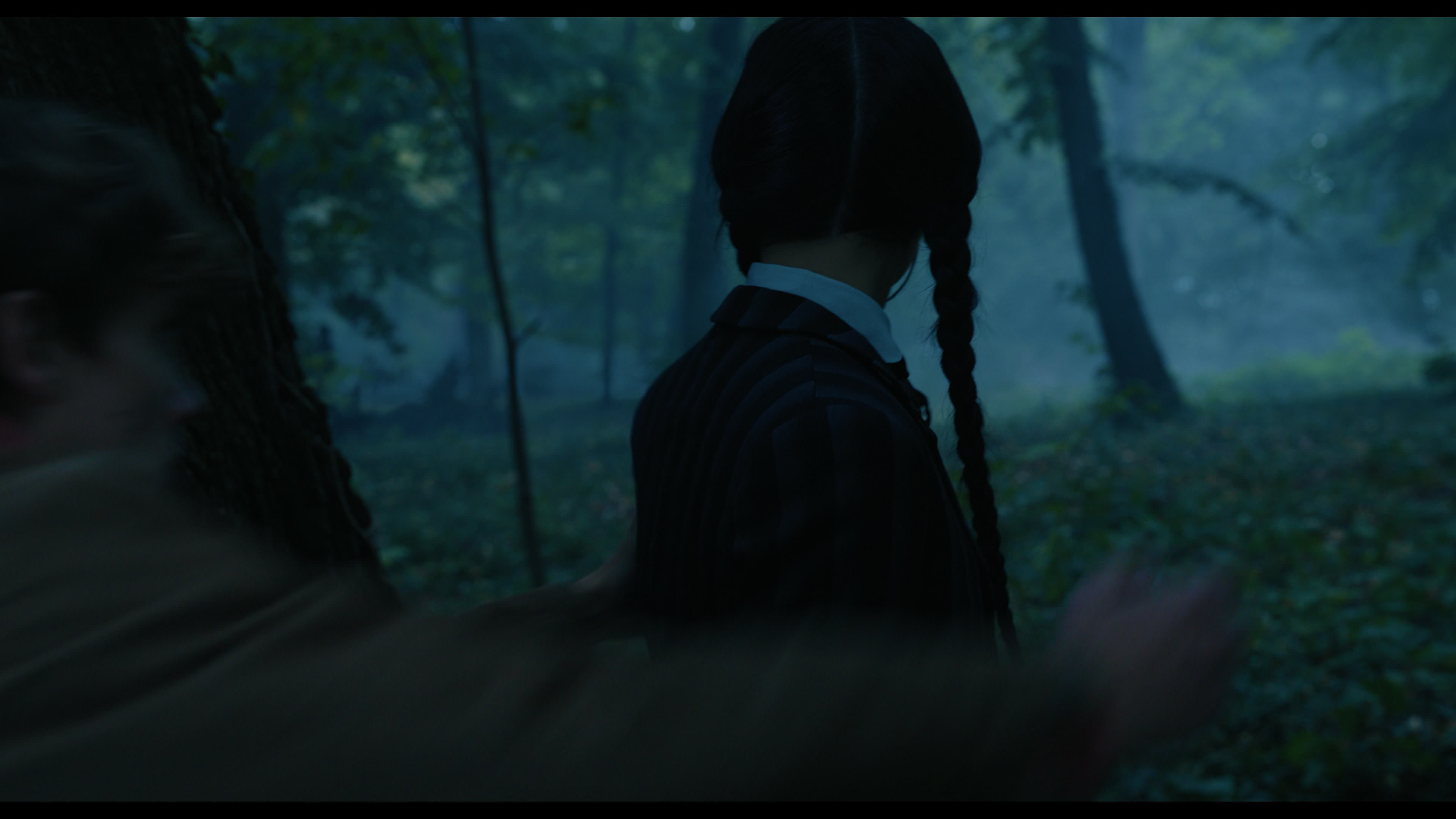 Wednesday S01E02 “Woe Is the Loneliest Number” screencap 3399