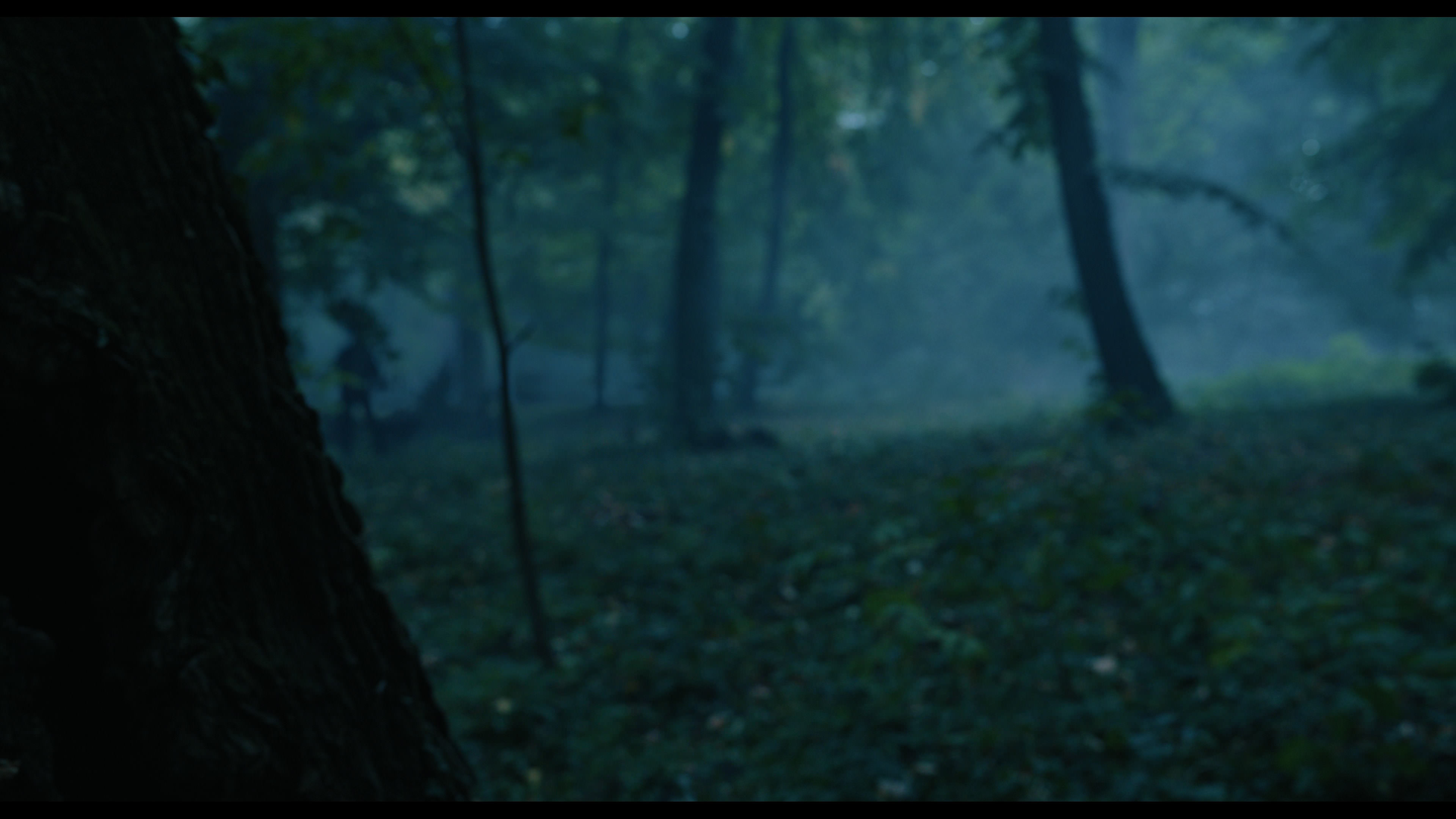 Wednesday S01E02 “Woe Is the Loneliest Number” HD screenshot 3401