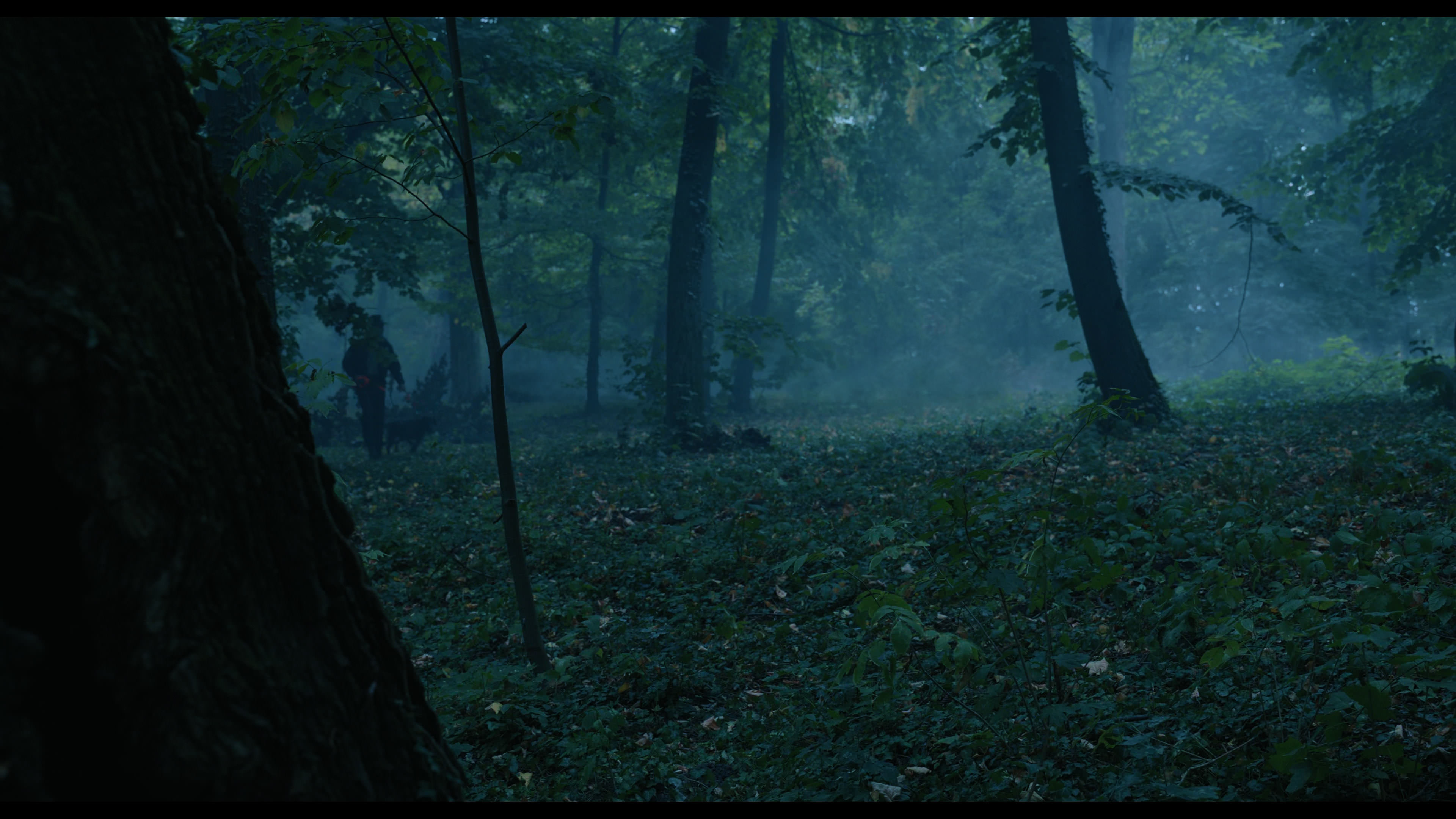 Wednesday S01E02 “Woe Is the Loneliest Number” screencap 3402