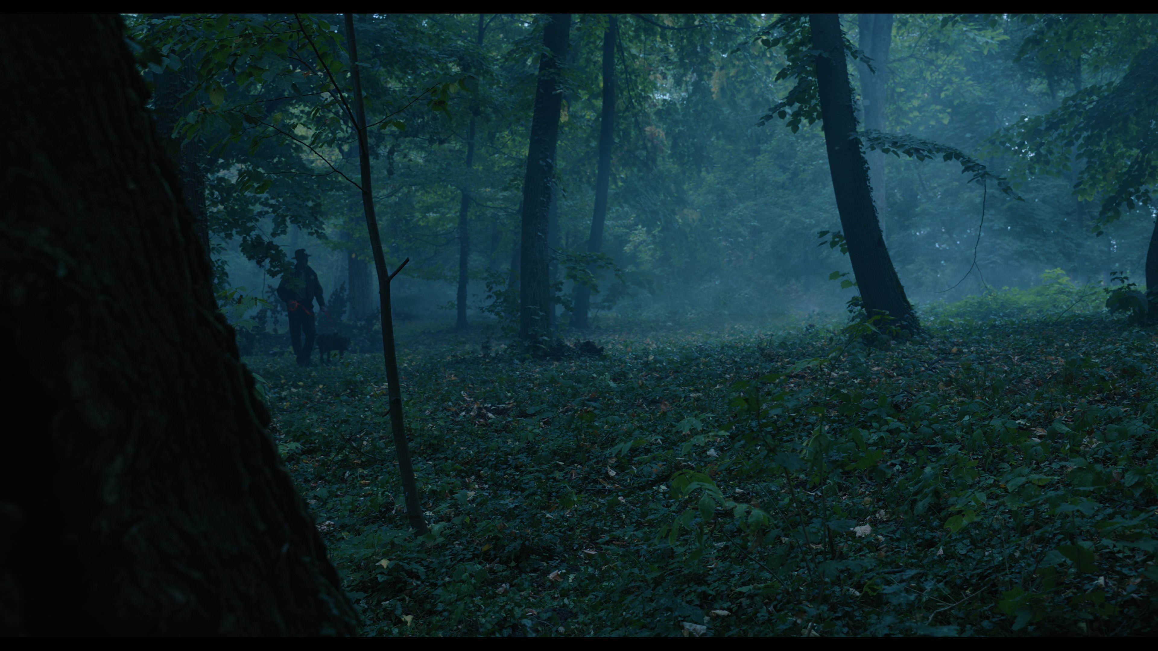Wednesday S01E02 “Woe Is the Loneliest Number” movie still 3403