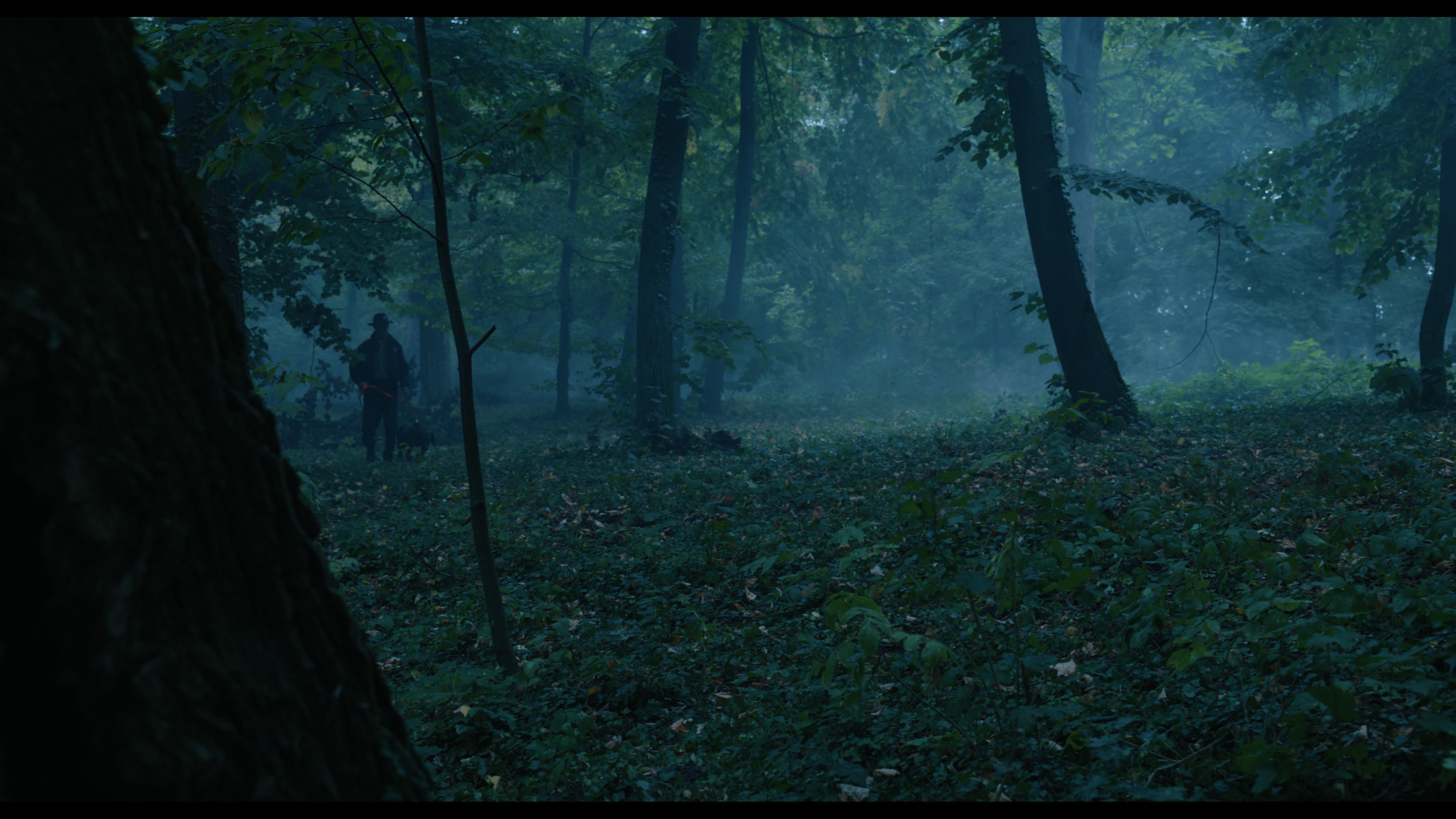 Wednesday S01E02 “Woe Is the Loneliest Number” HD screenshot 3404