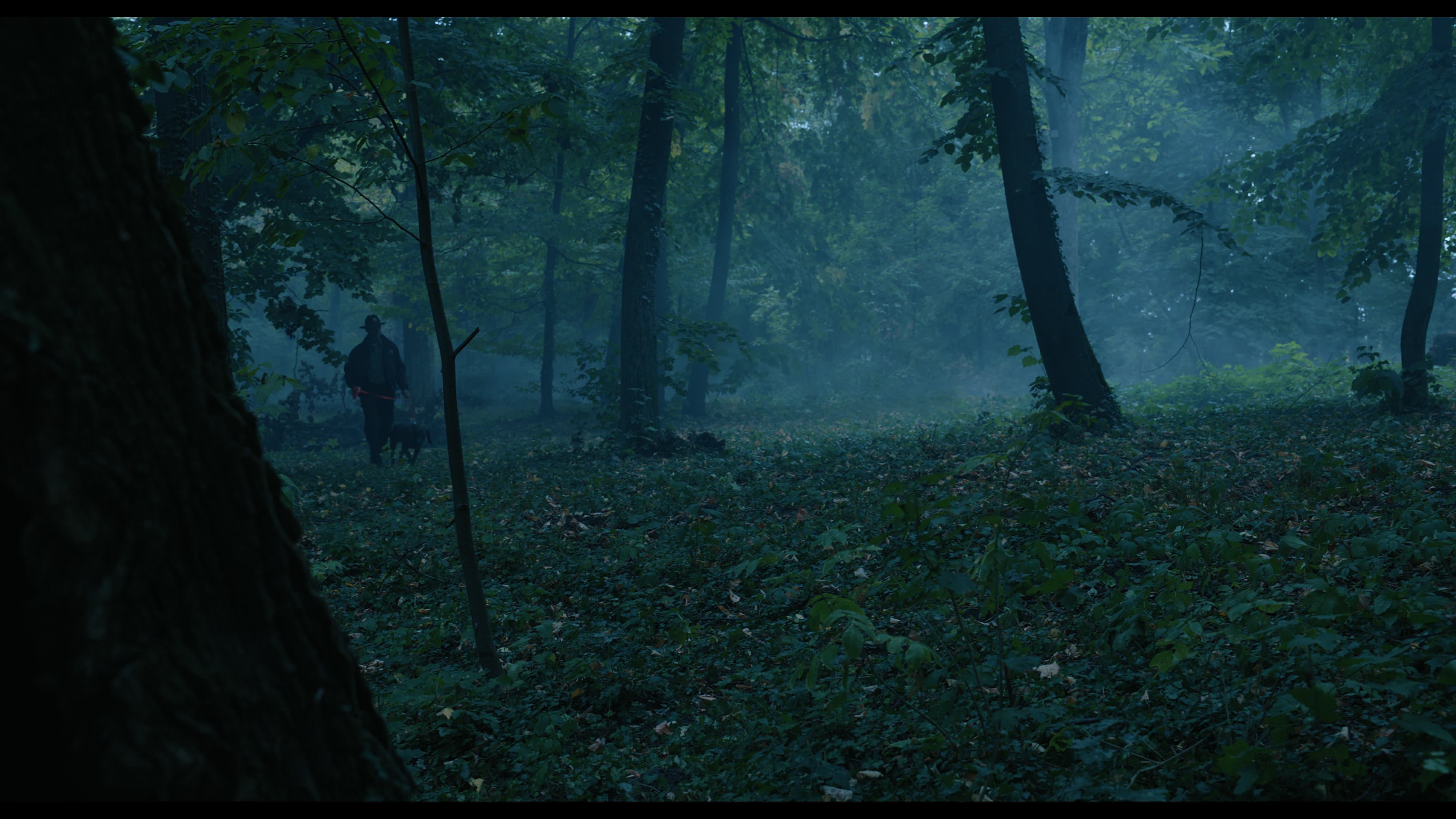 Wednesday S01E02 “Woe Is the Loneliest Number” screencap 3405