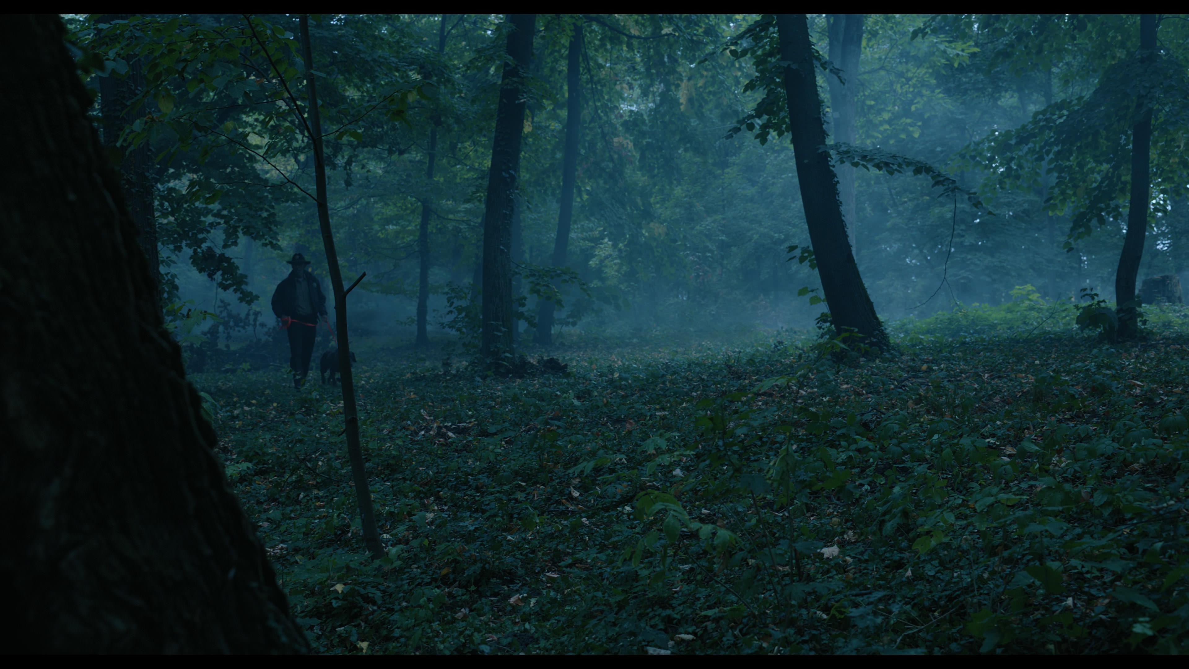 Wednesday S01E02 “Woe Is the Loneliest Number” HD screenshot 3407