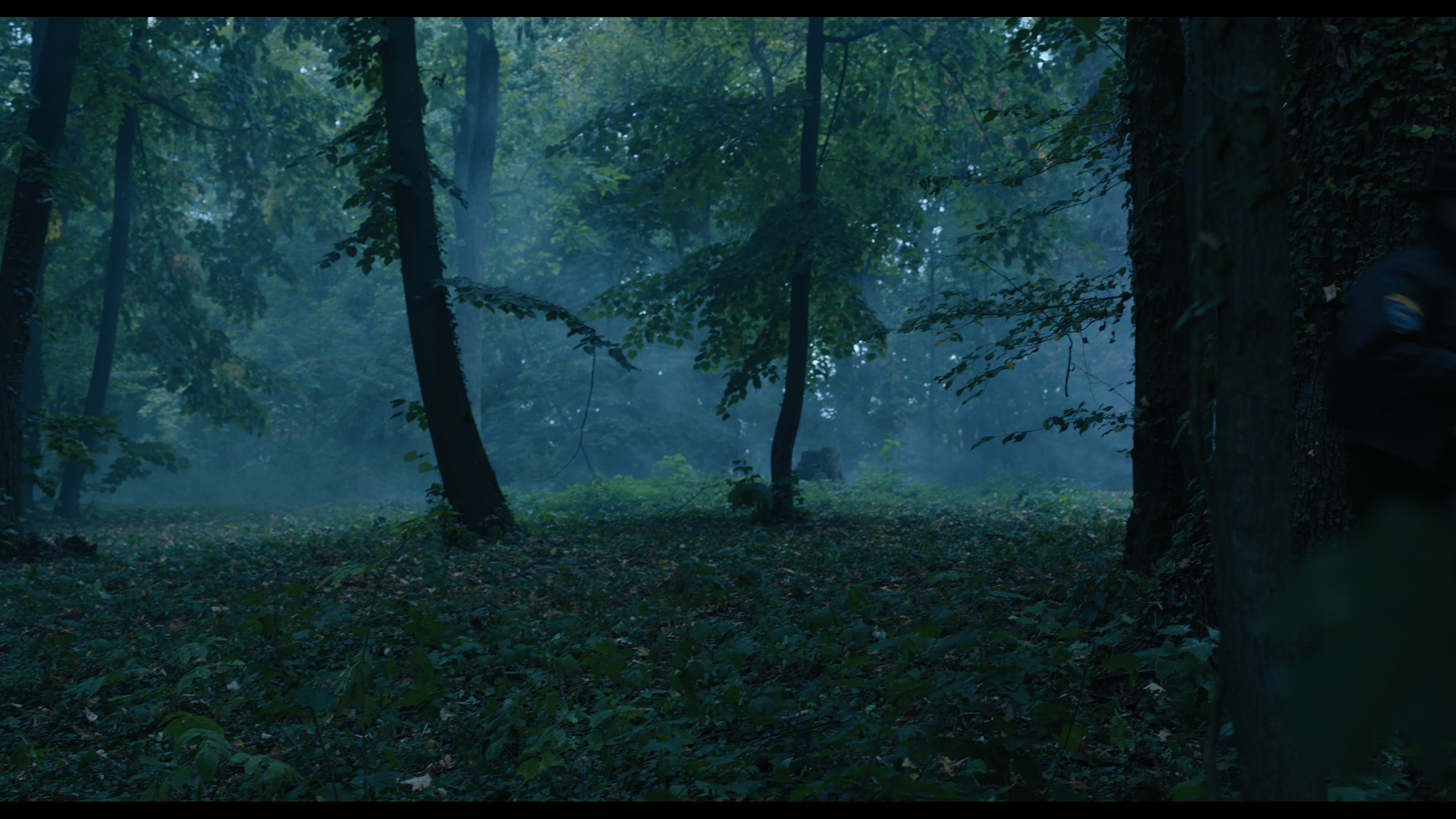 Wednesday S01E02 “Woe Is the Loneliest Number” HD screenshot 3419
