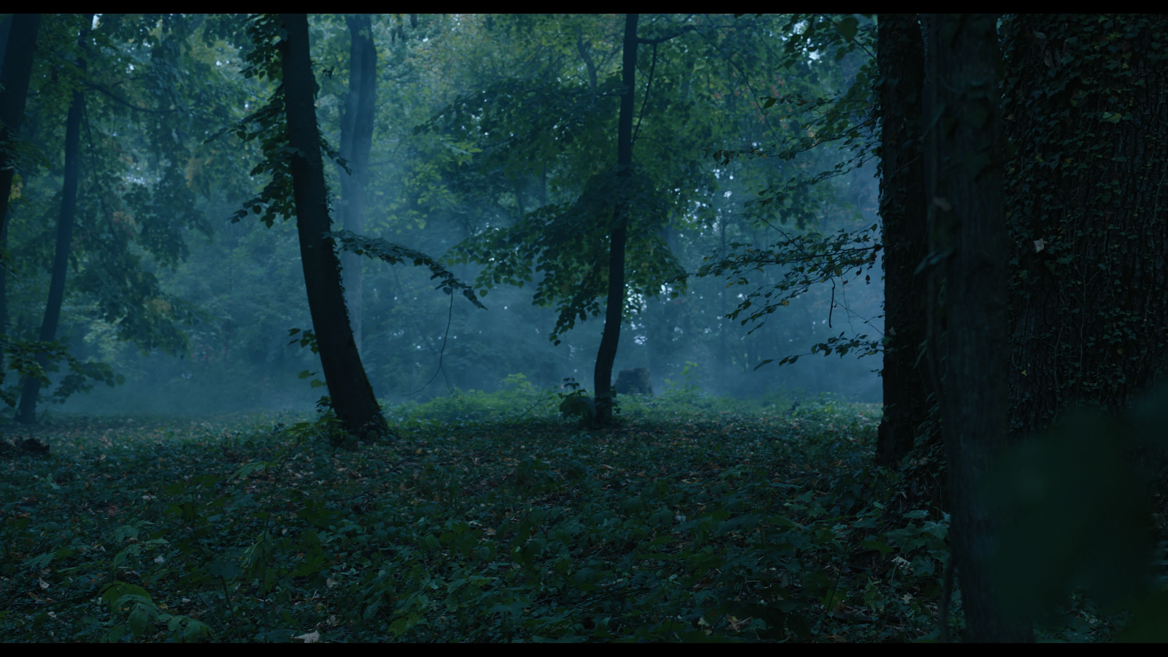 Wednesday S01E02 “Woe Is the Loneliest Number” screencap 3420