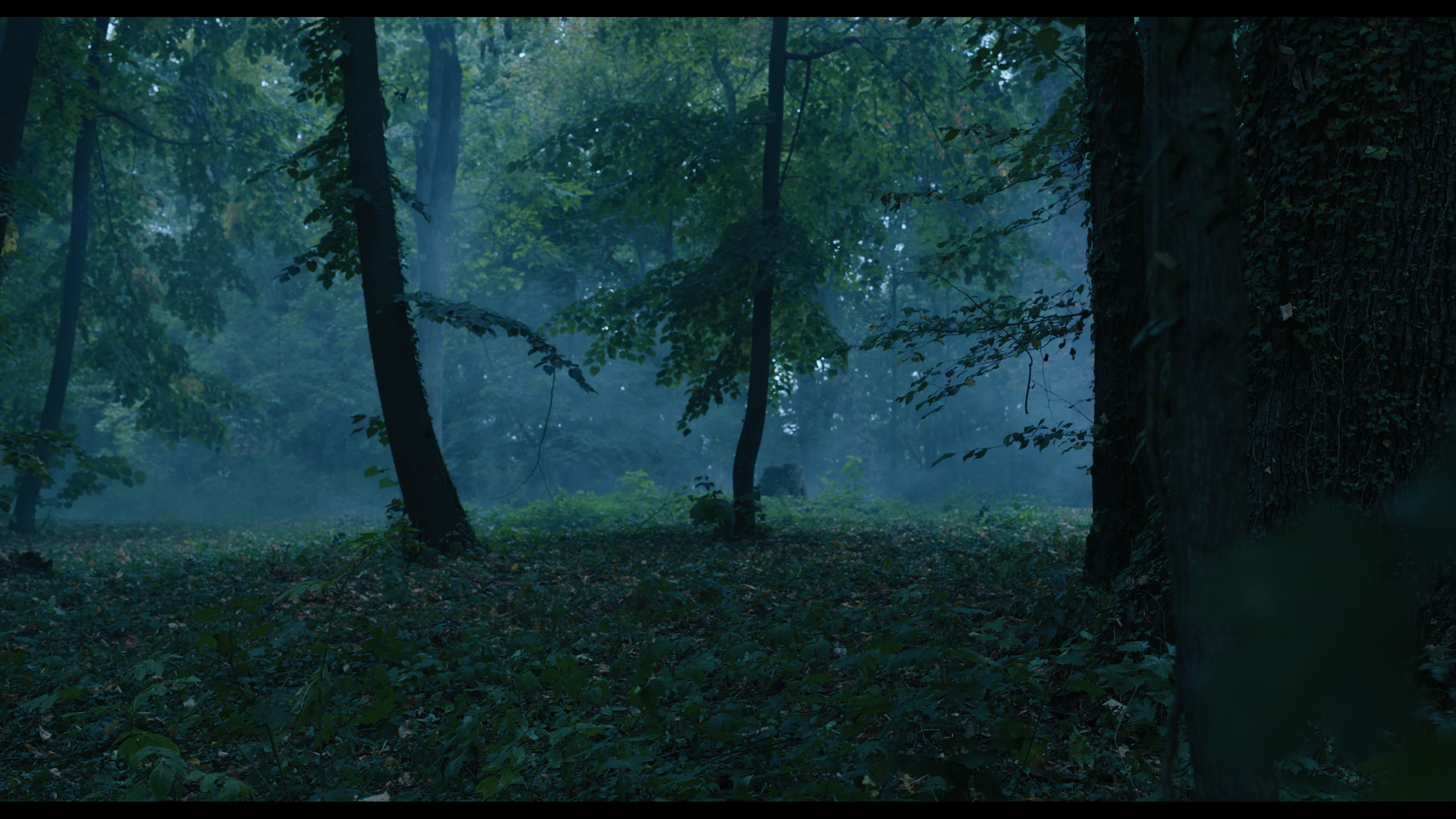 Wednesday S01E02 “Woe Is the Loneliest Number” movie still 3421