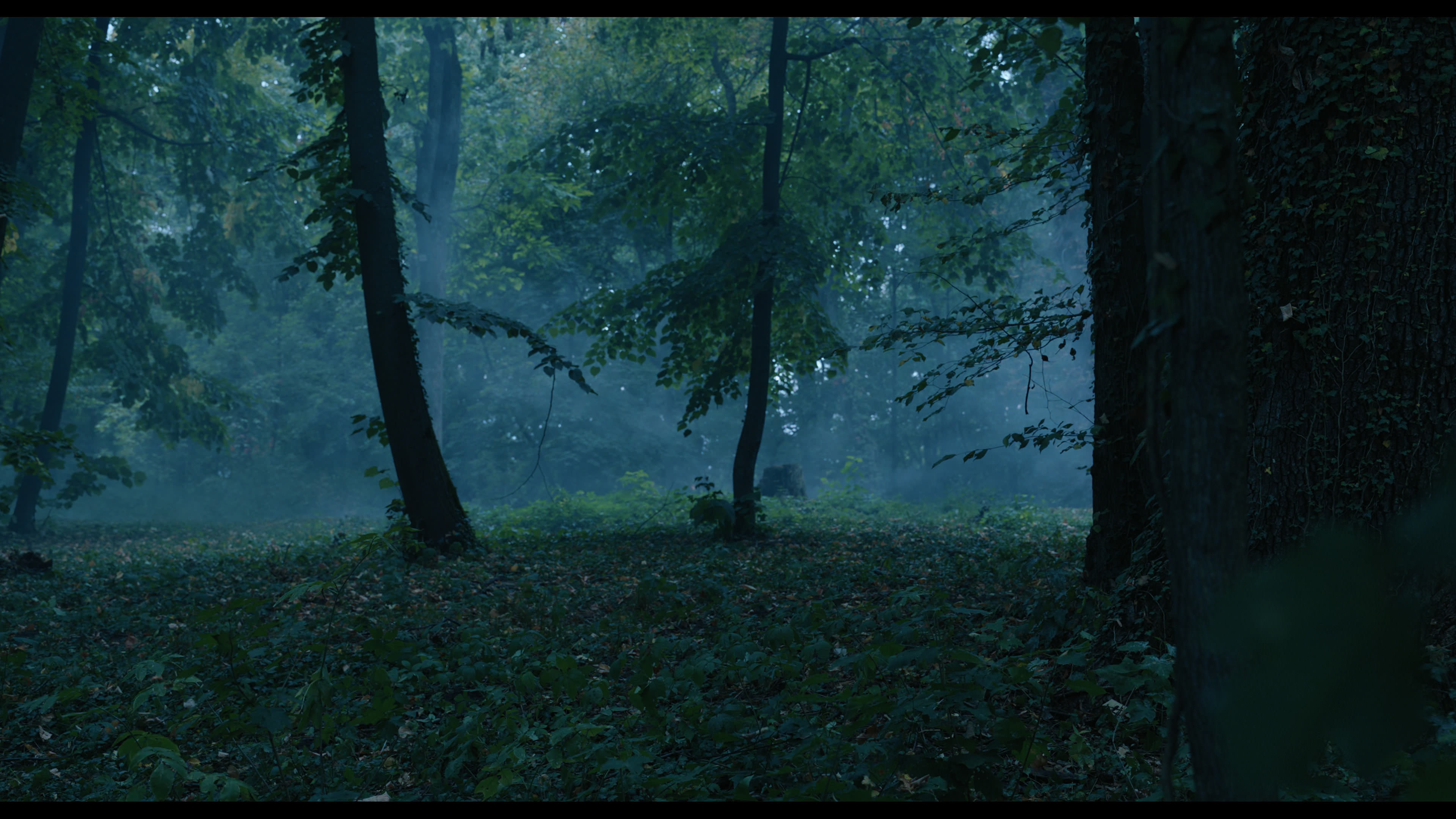 Wednesday S01E02 “Woe Is the Loneliest Number” HD screenshot 3422