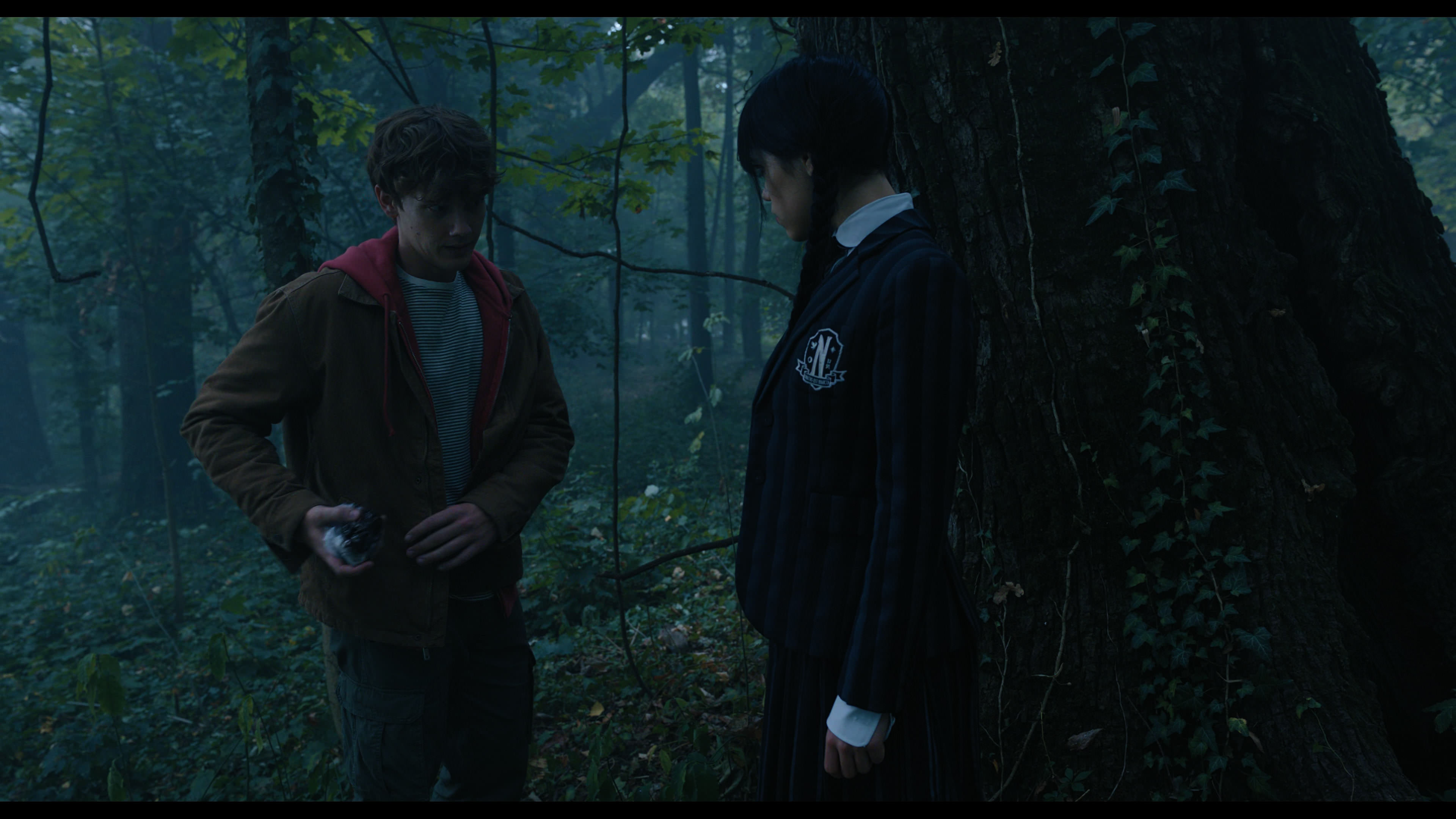 Wednesday S01E02 “Woe Is the Loneliest Number” screencap 3459