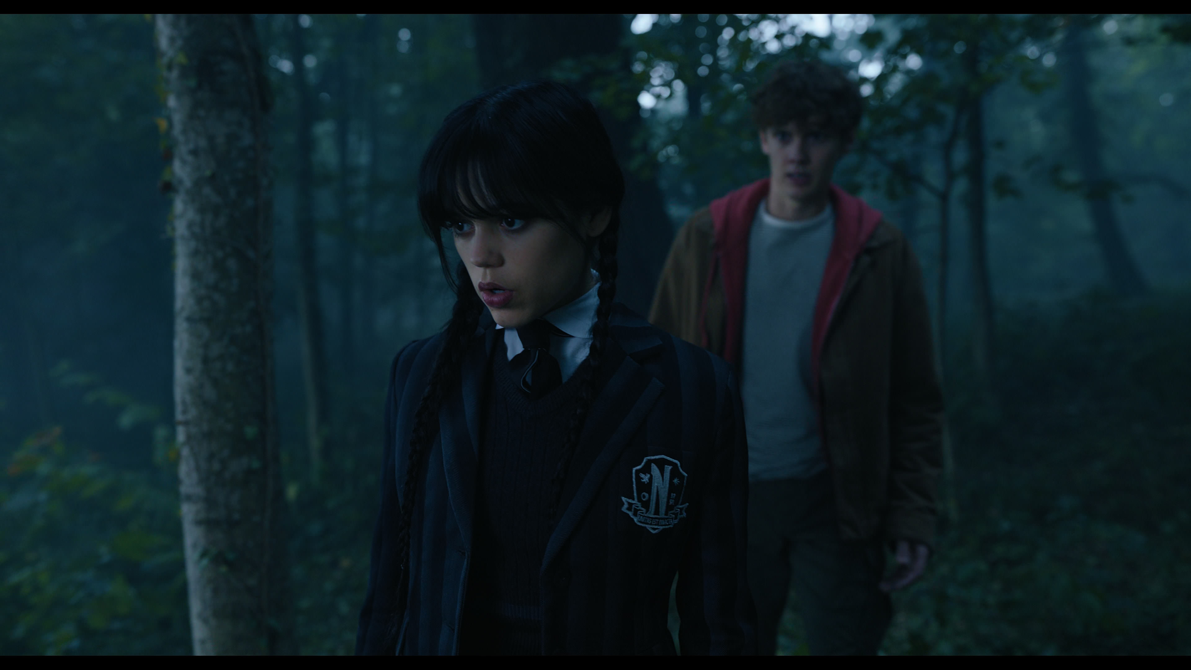 Wednesday S01E02 “Woe Is the Loneliest Number” movie still 3547