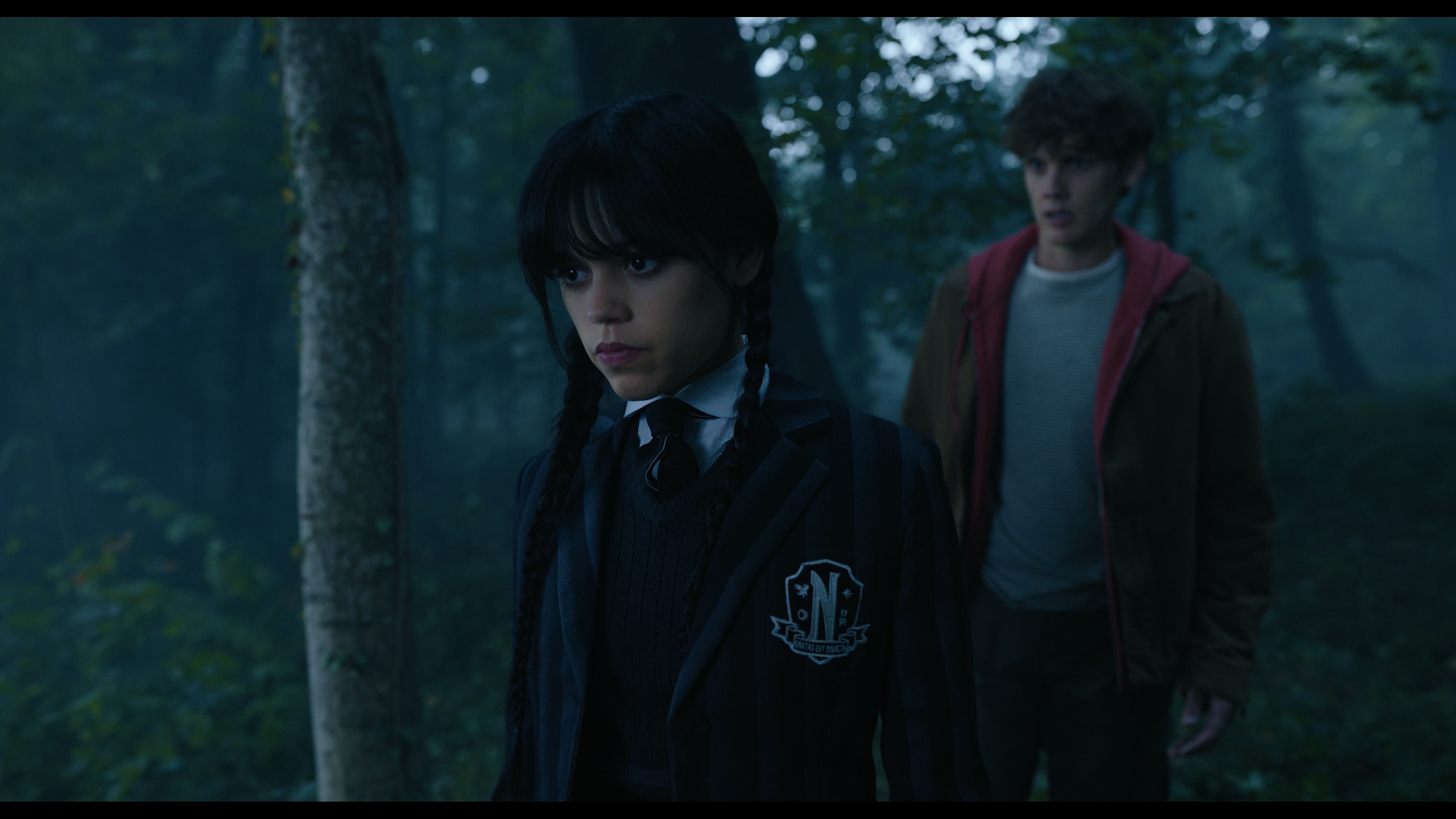 Wednesday S01E02 “Woe Is the Loneliest Number” screencap 3549