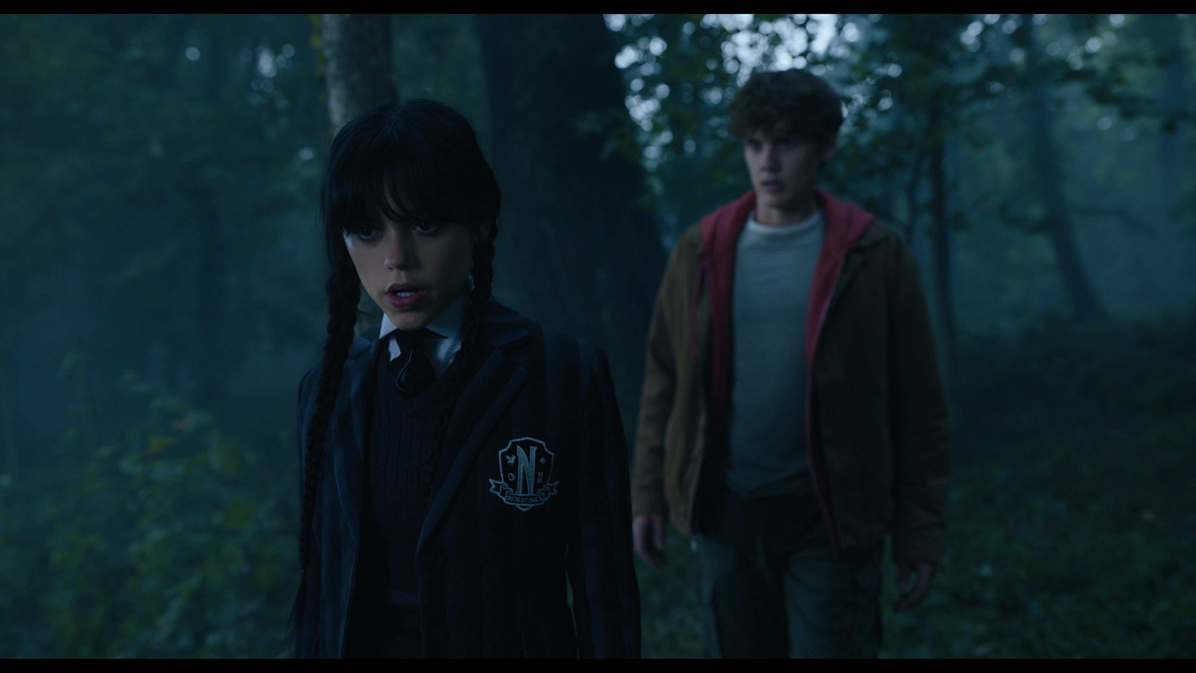 Wednesday S01E02 “Woe Is the Loneliest Number” screencap 3552
