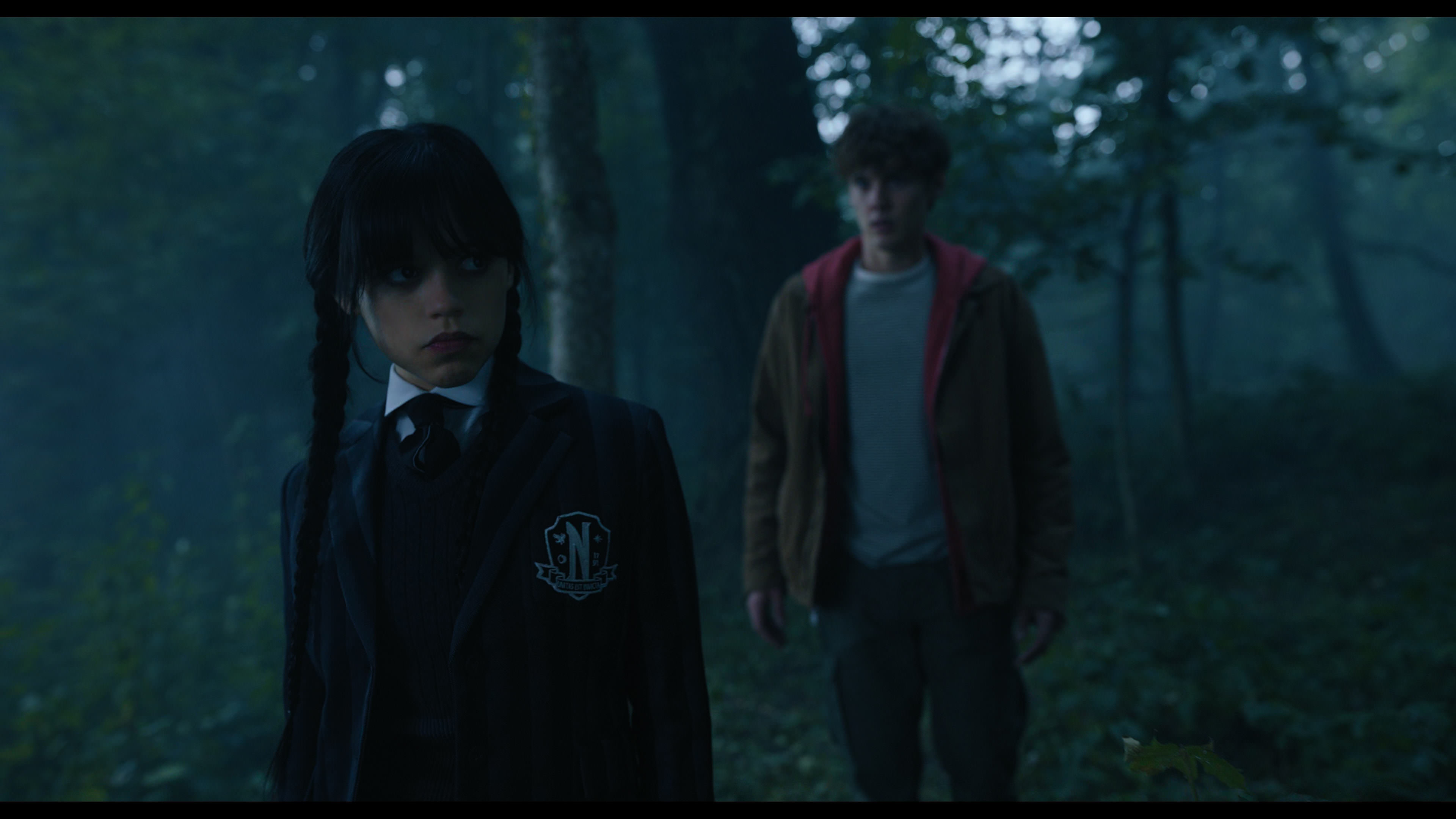 Wednesday S01E02 “Woe Is the Loneliest Number” screencap 3558