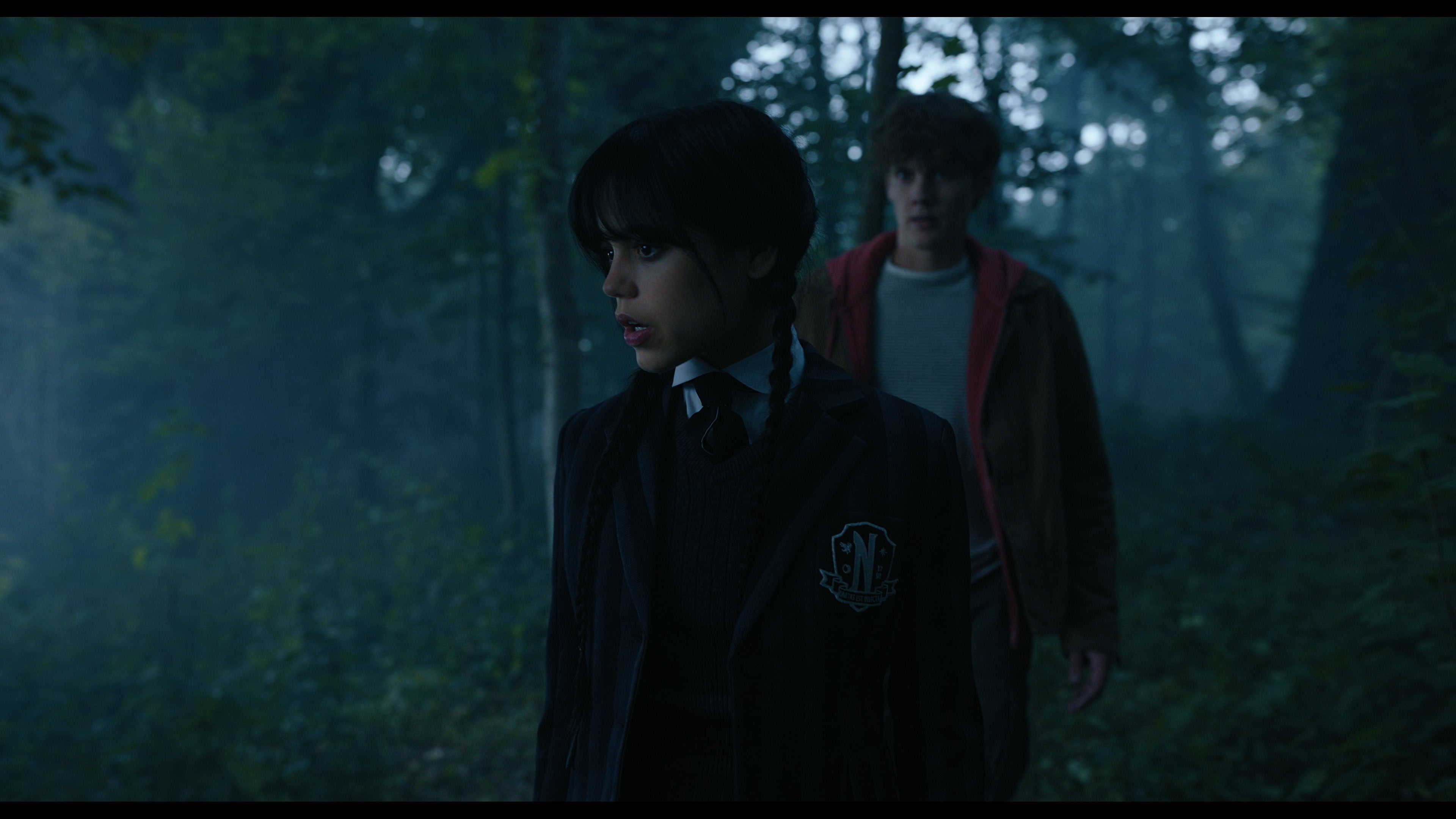 Wednesday S01E02 “Woe Is the Loneliest Number” HD screenshot 3584