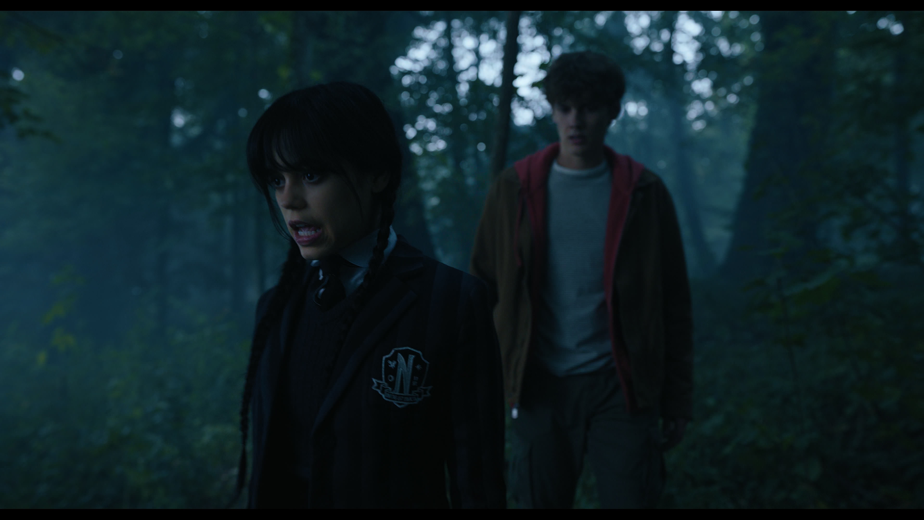 Wednesday S01E02 “Woe Is the Loneliest Number” screencap 3588