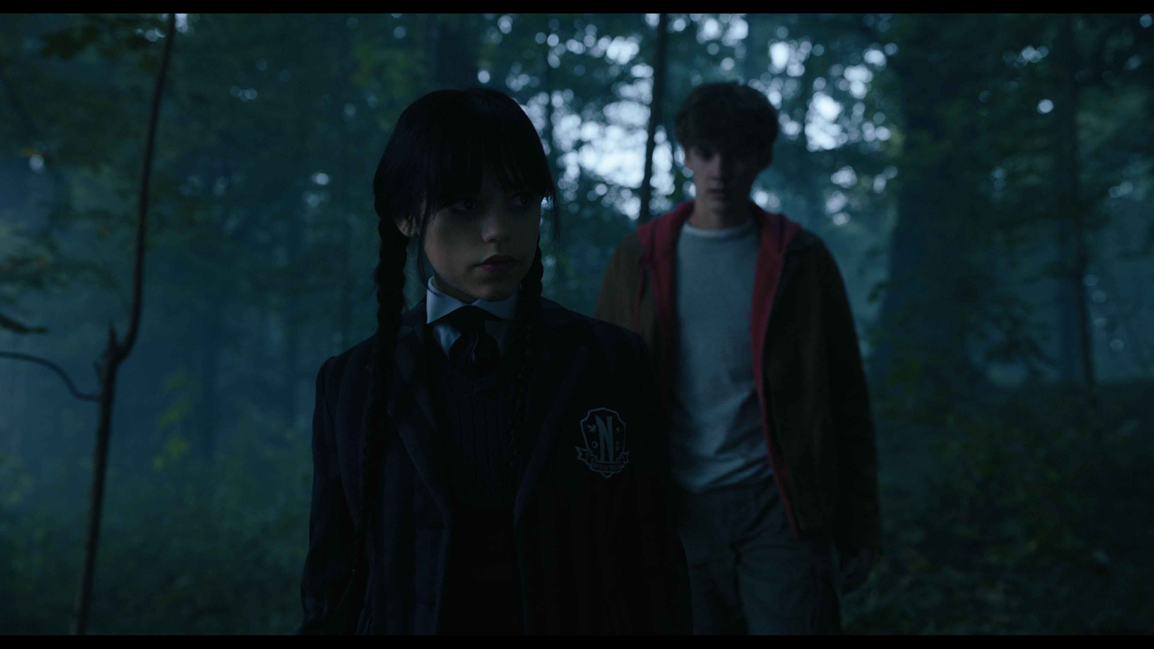 Wednesday S01E02 “Woe Is the Loneliest Number” screencap 3597