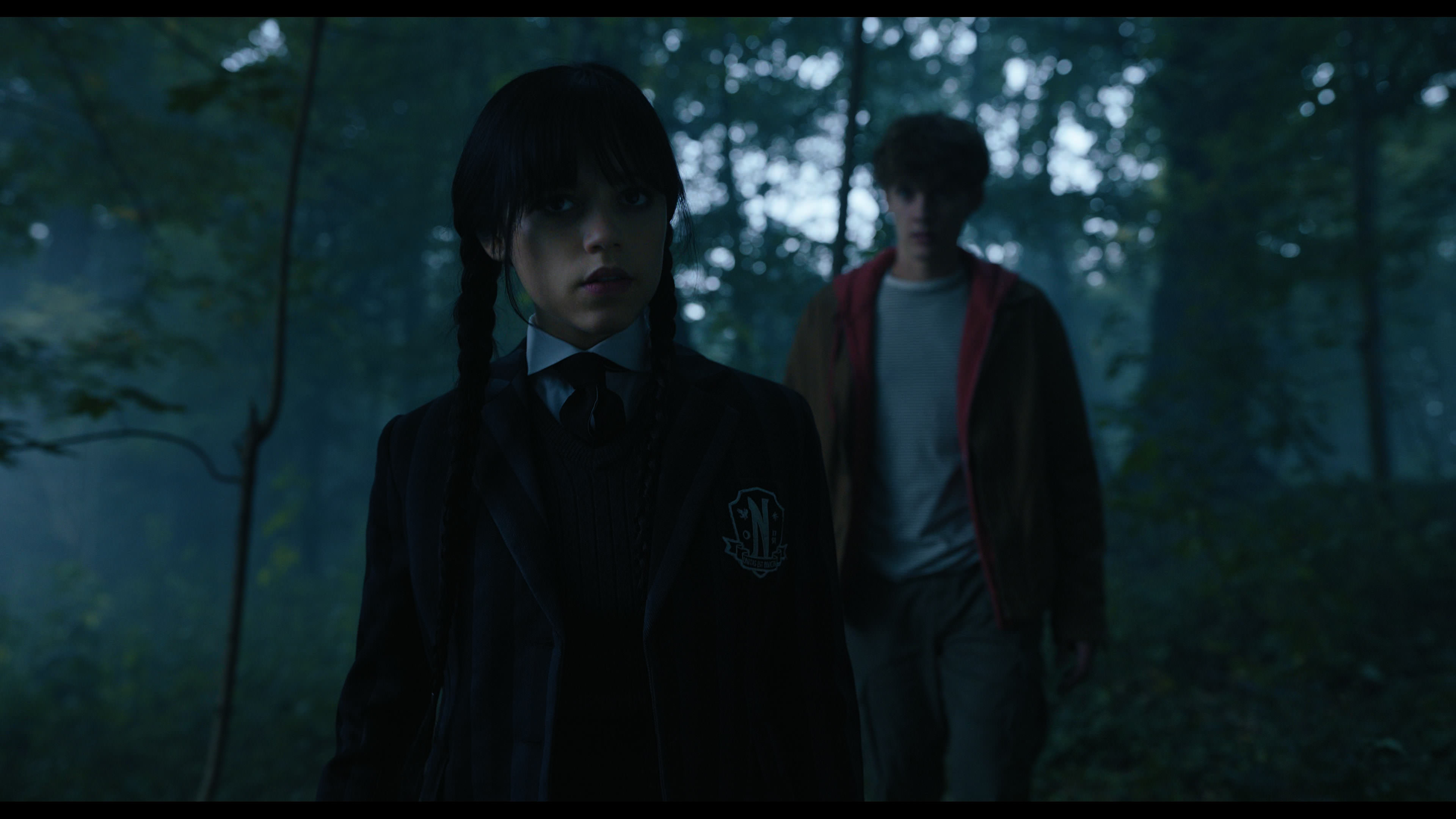 Wednesday S01E02 “Woe Is the Loneliest Number” HD screenshot 3599